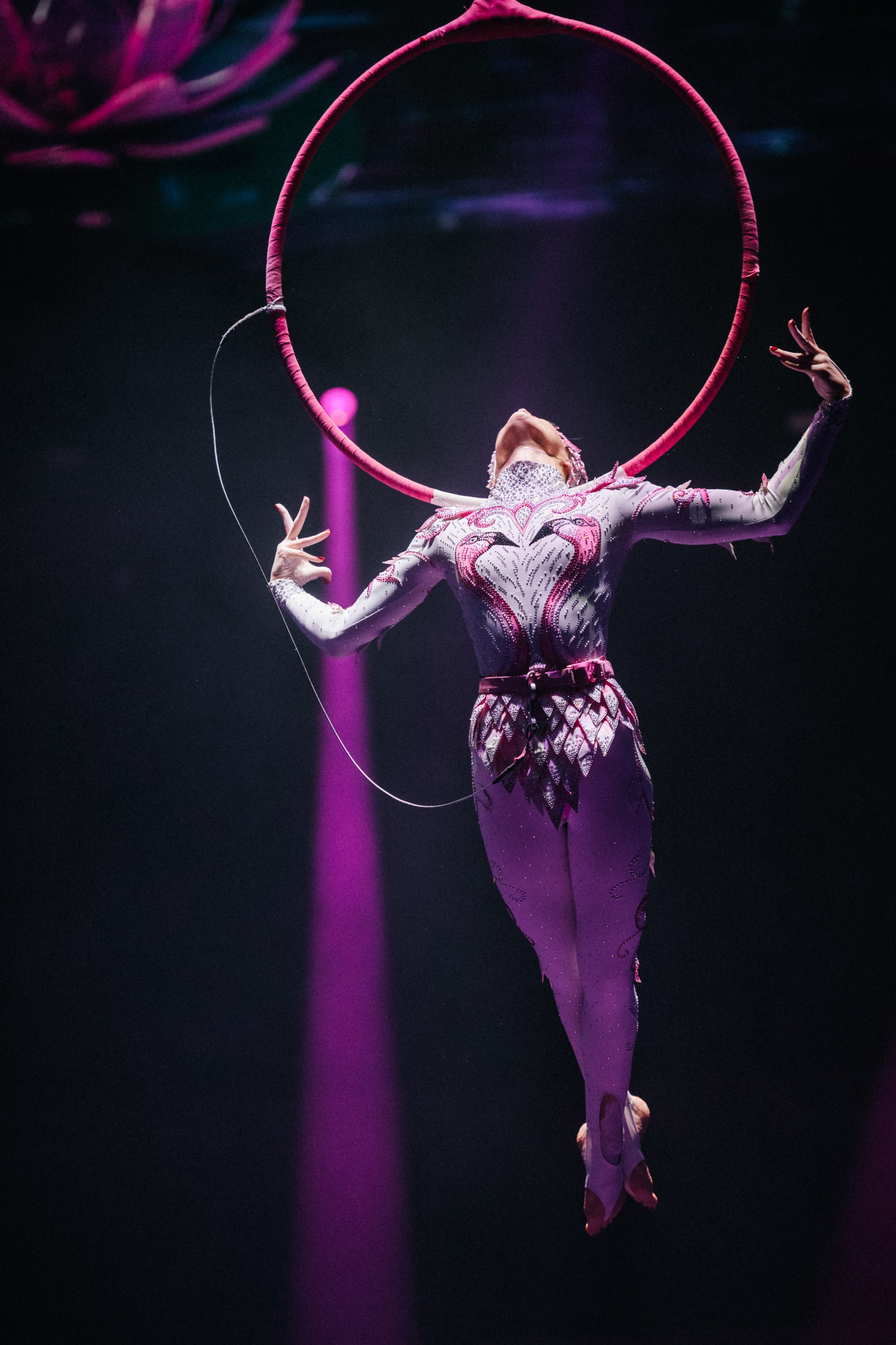 Королевский Цирк Гии Эрадзе. Репортажный и портретный фотограф в Санкт-Петербурге Степлевич Дарья