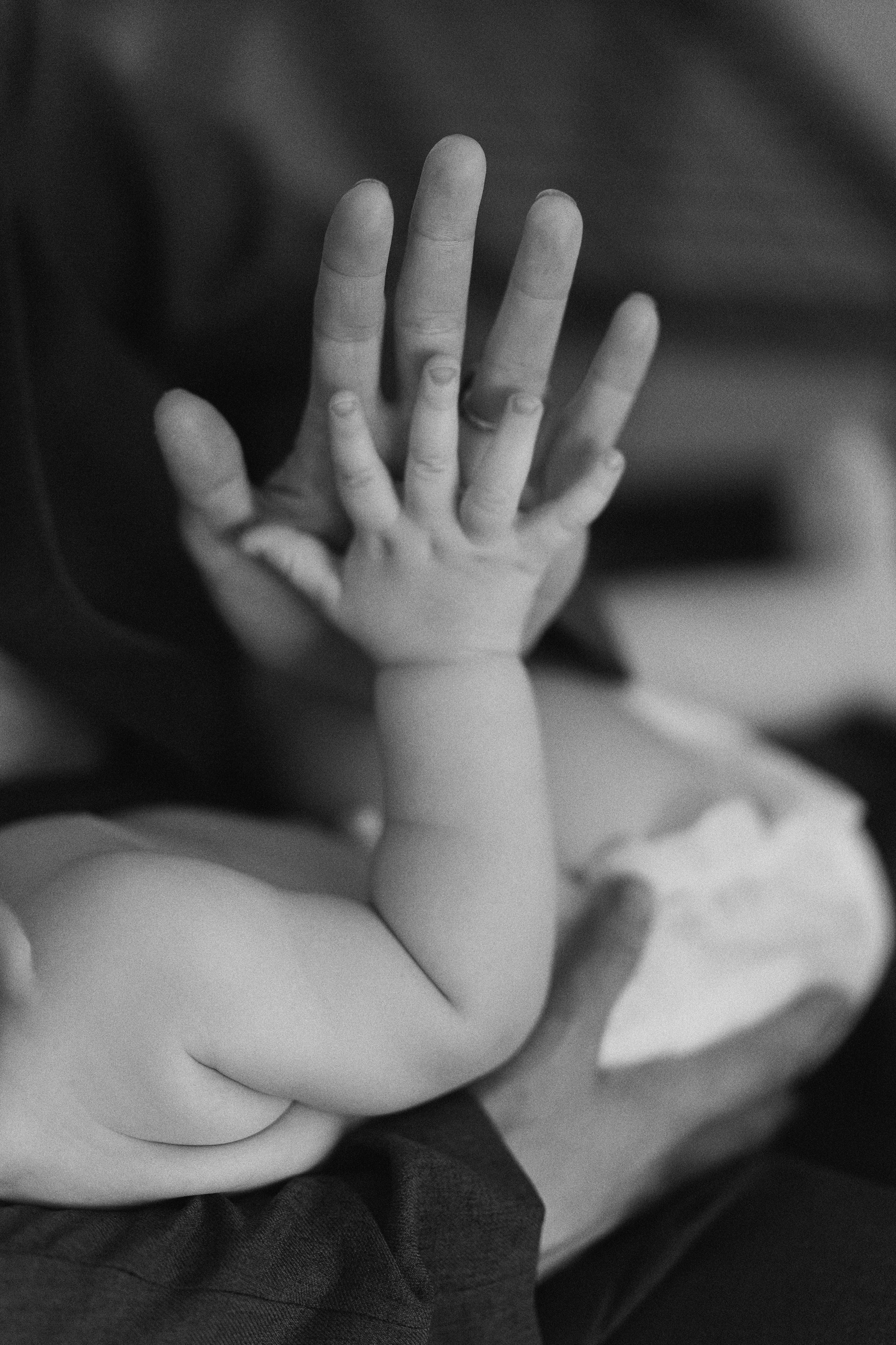 FAMILY. Maria Startseva Photo