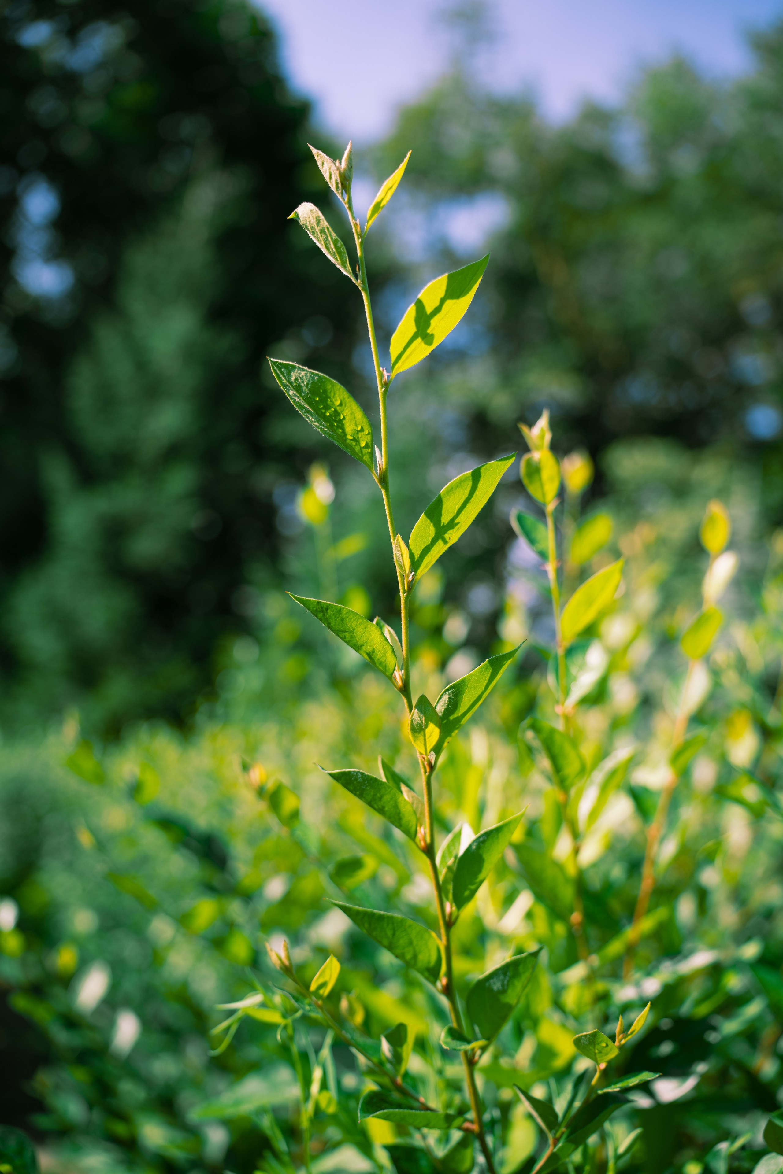 ATMOSPHERE. Фотограф Юрина Ксения Москва