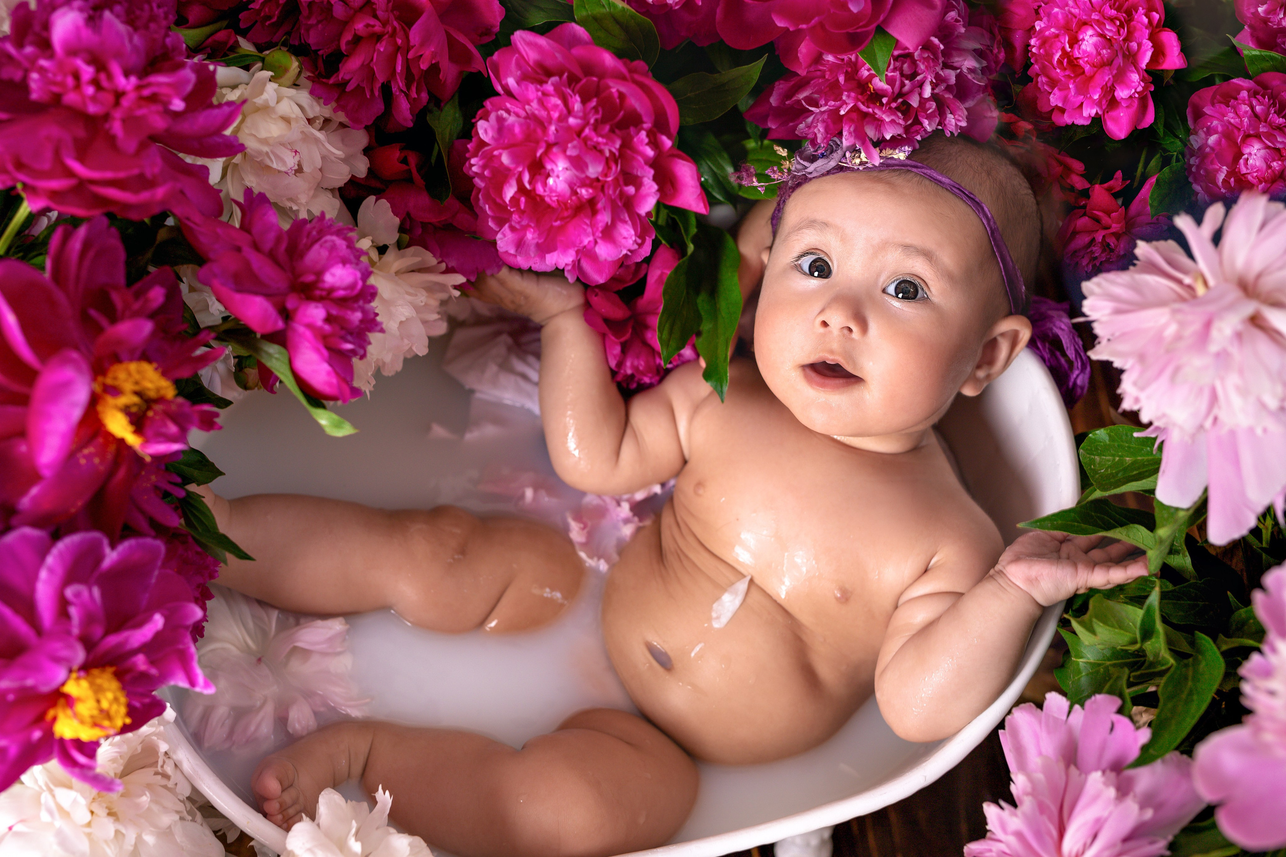 Пионы, молочные ванны. Фотограф Болотова Иветта