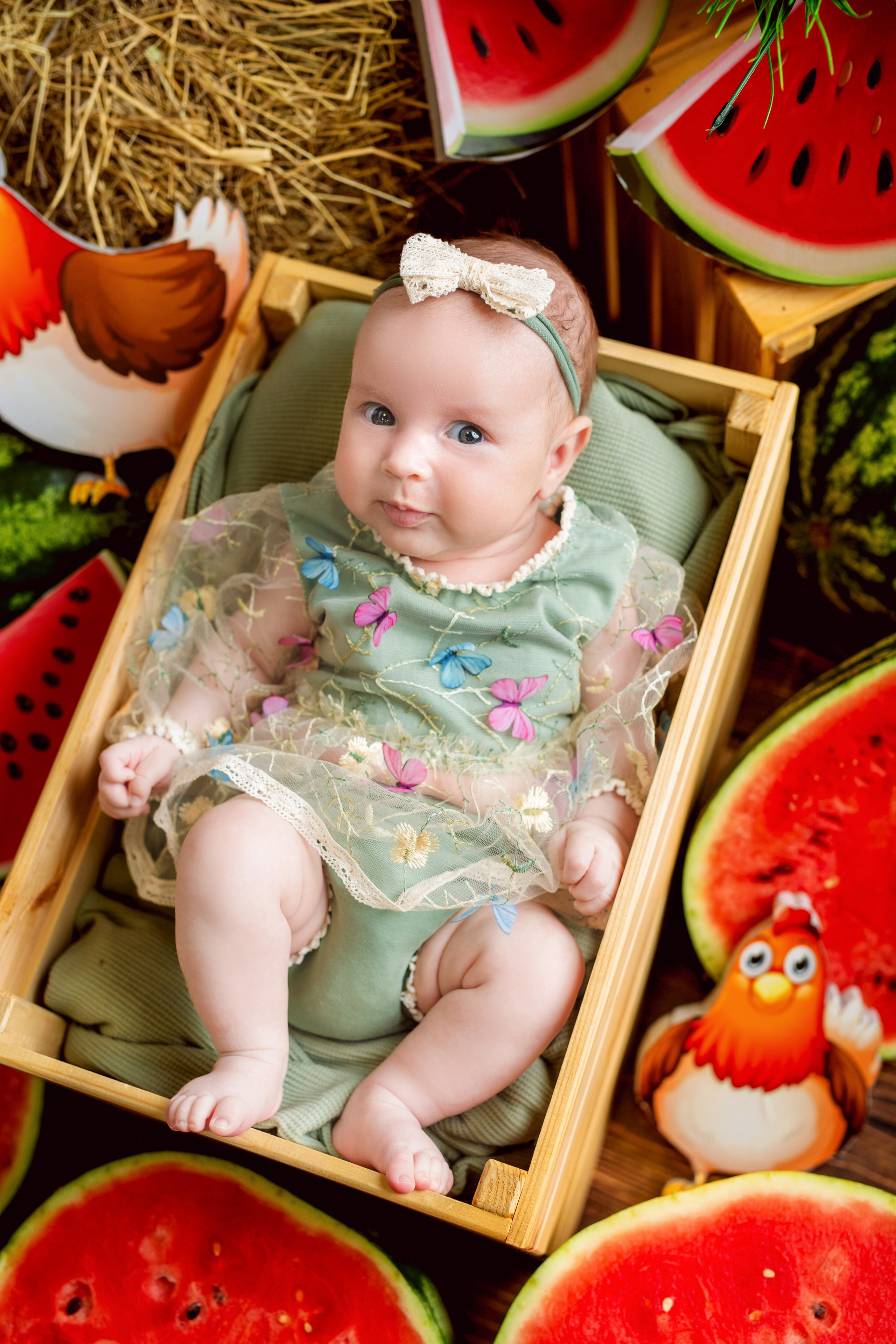 Арбузы. Фотограф Болотова Иветта