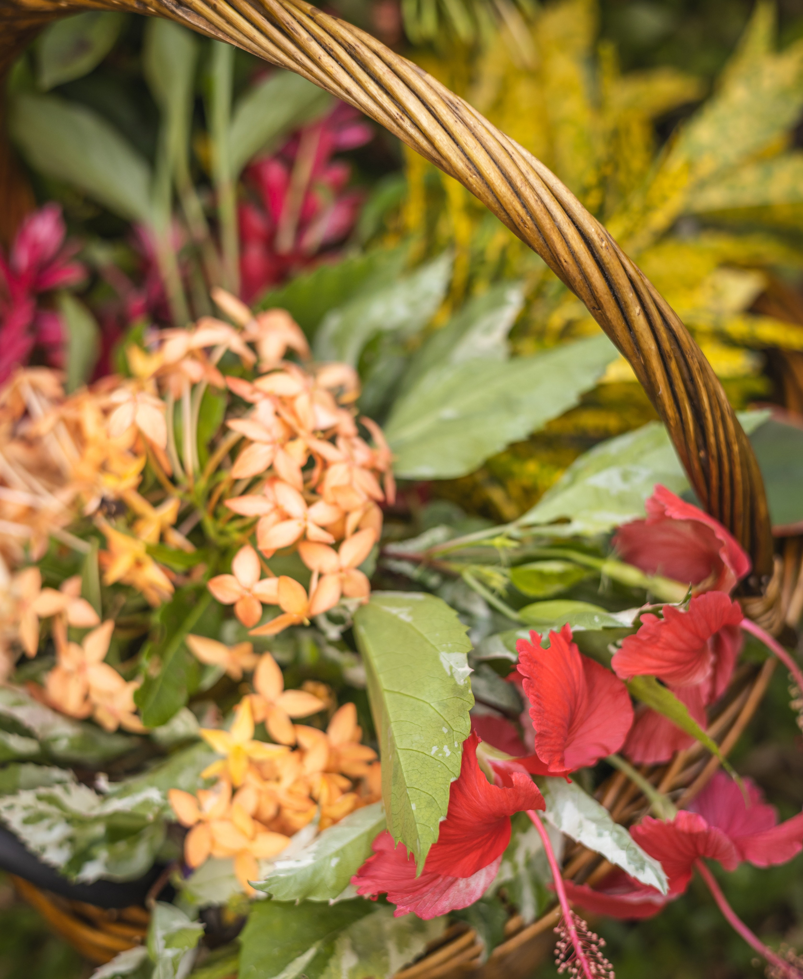 Authenticity of women and nature. Family, portrait, content photo in Costa Rica Evgeniya Besprozvannykh