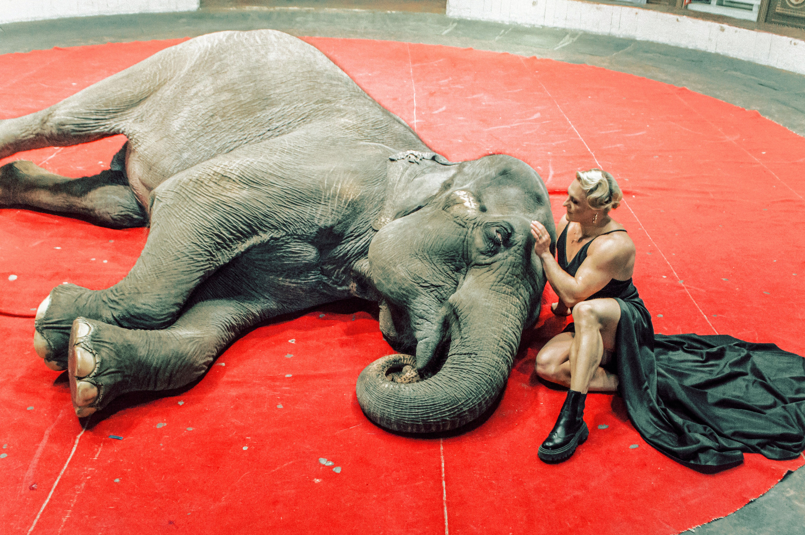 Екатерина. Главная