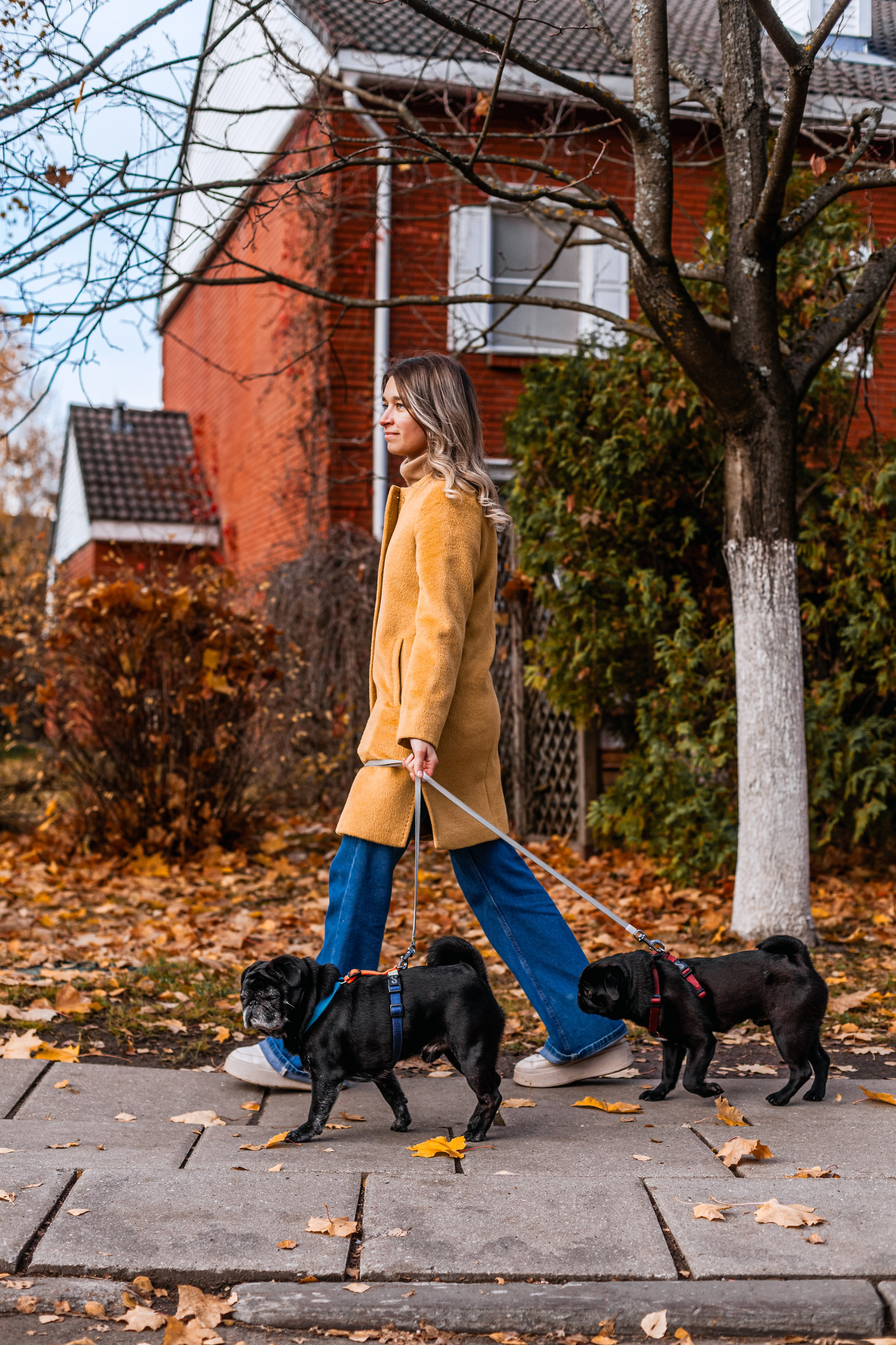 Оля, Харви, Луис. Фотограф-анималист Татьяна Степанова
