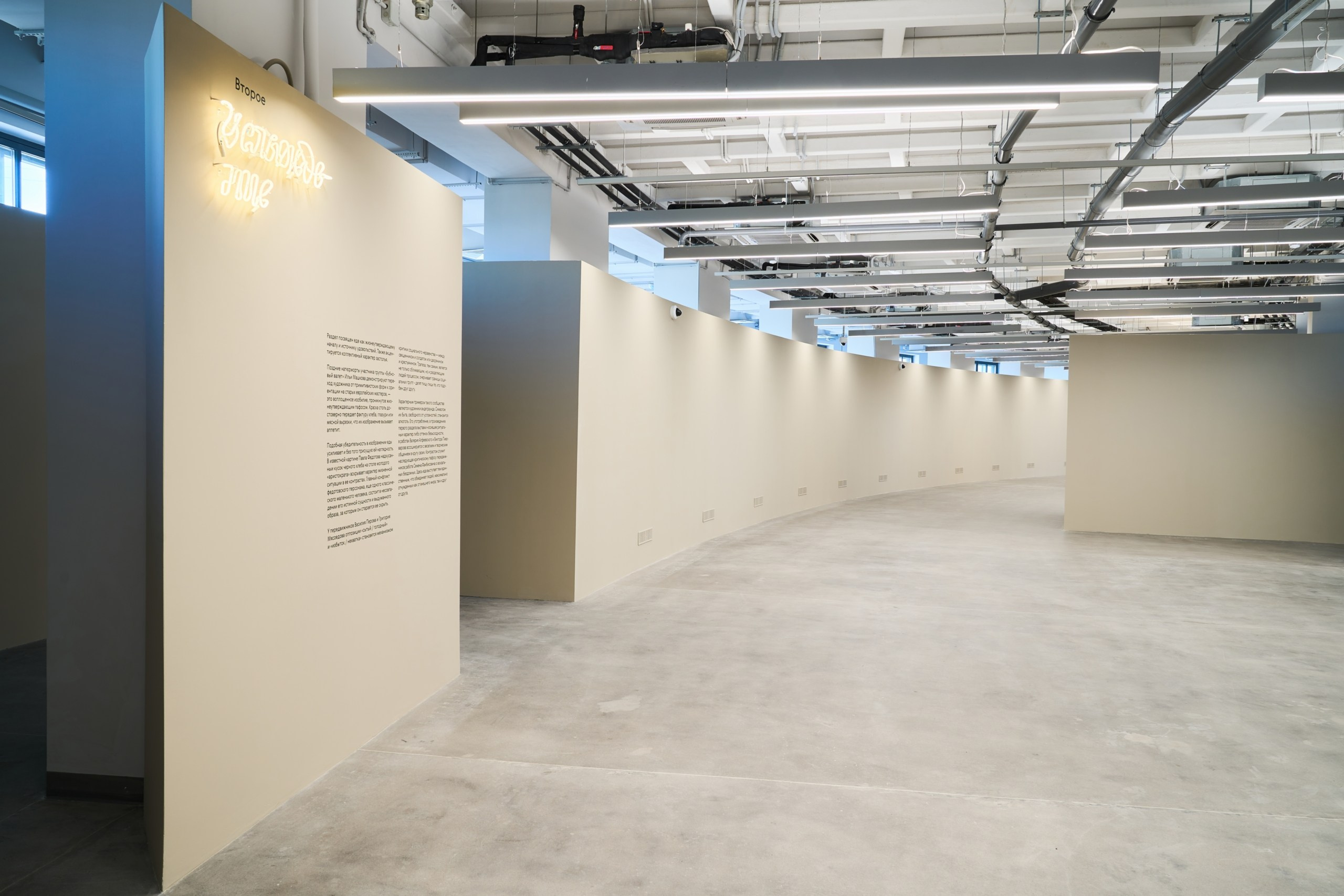 Открытие филиала Третьяковской Галереи. Фотограф Евгений Шаров