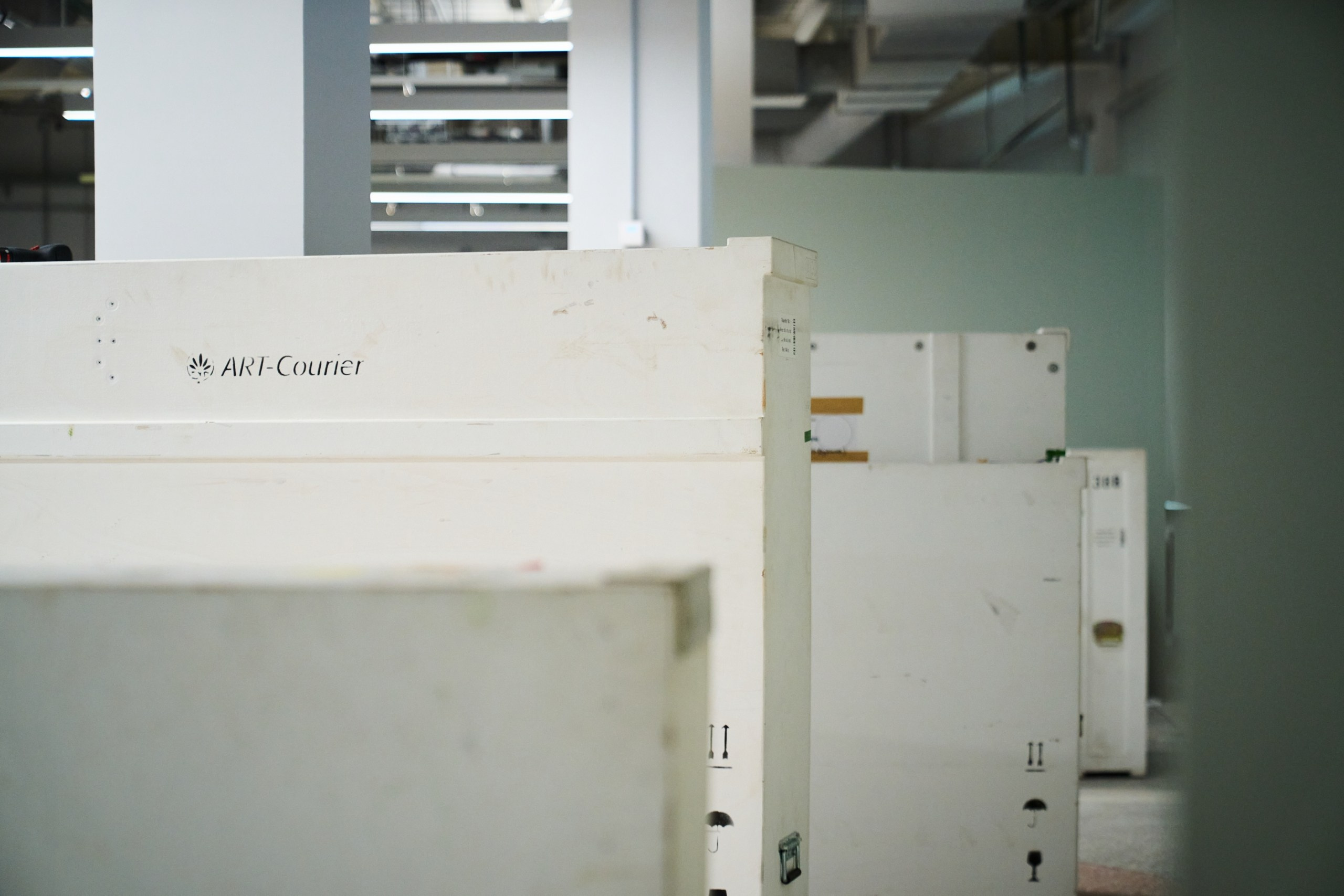 Открытие филиала Третьяковской Галереи. Фотограф Евгений Шаров