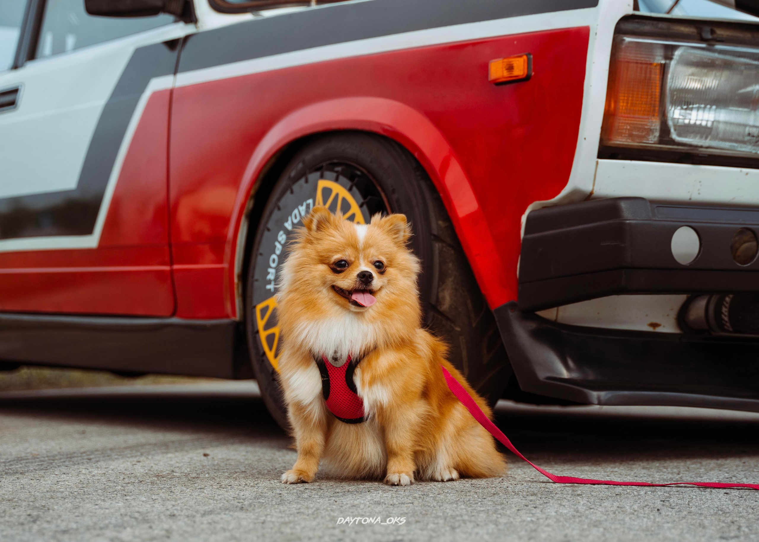 PermAutoWeekend. Главная