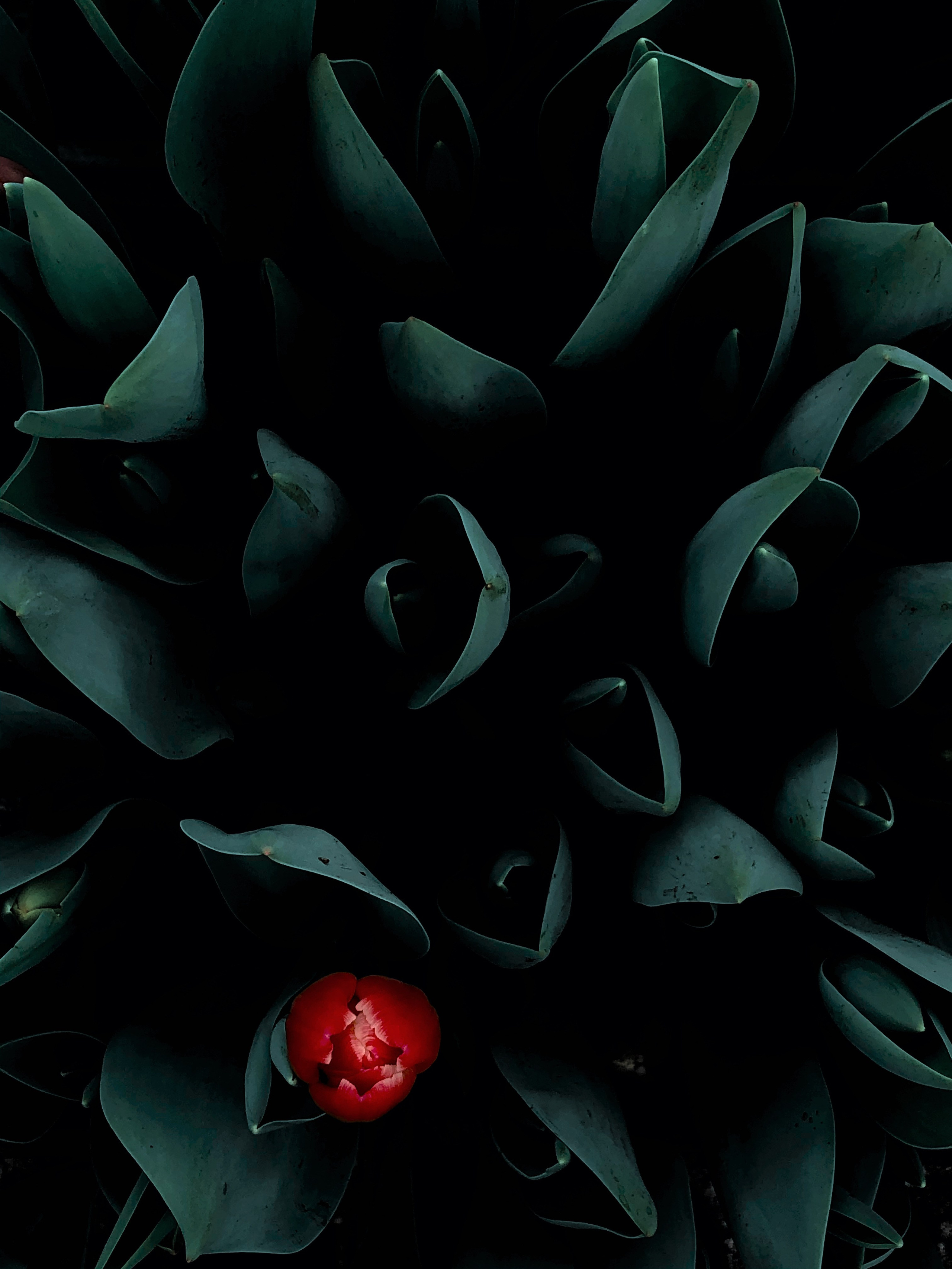 Современная концептуальная фотография о теле, уязвимости и идентичности. Визуальная практика на стиле честности, пост-иронии и искусства.Рекламная фотография, Концептуальная фотография, Современный художник, Психология, Коммерческий фотограф, Репортажный фотограф, Стрит фотография, Арт, Сюрреализм, Мобильная фотография, Снято на айфон, Дима Бурза