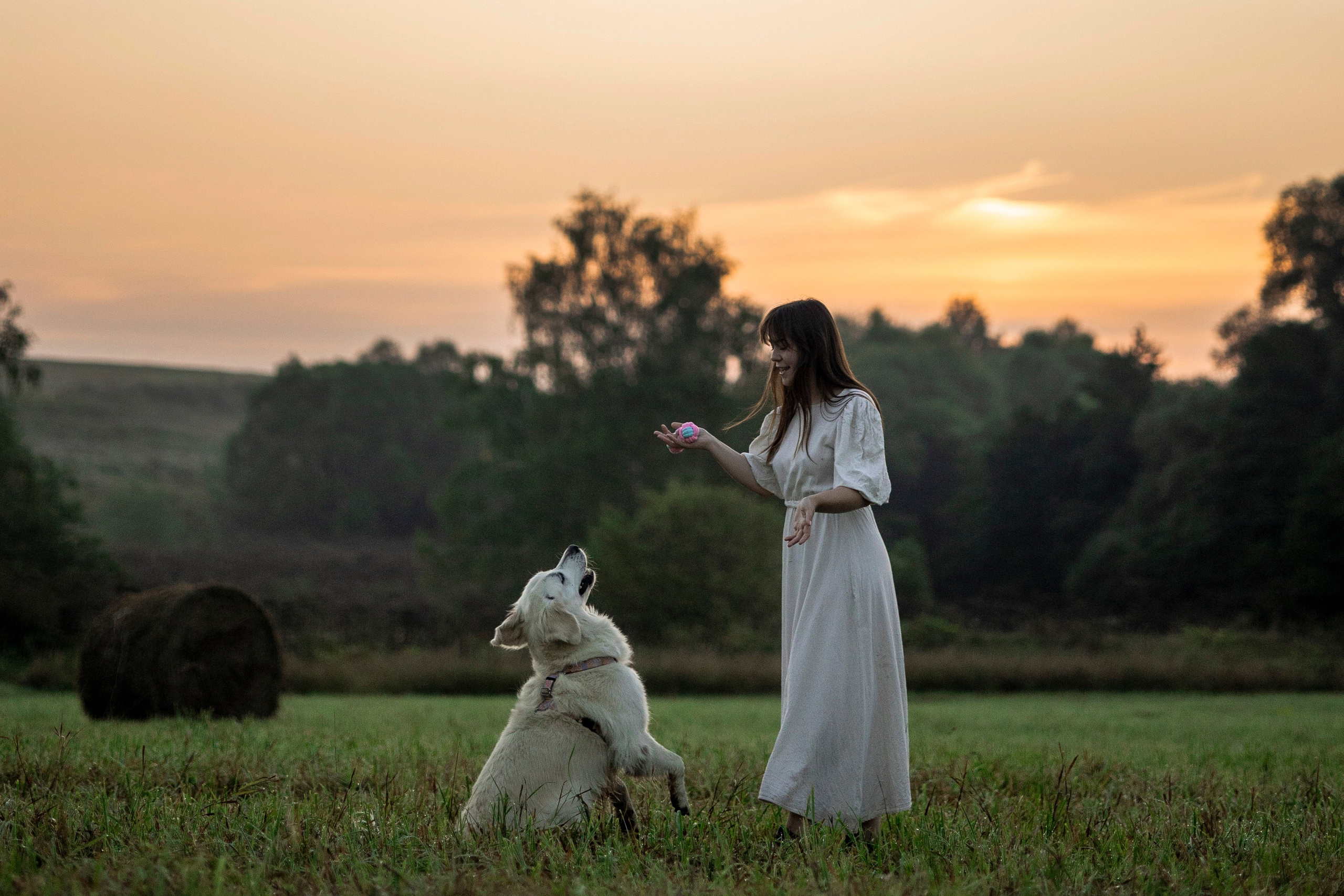 Рассветная съемка с собакой. Анастасия Белаш