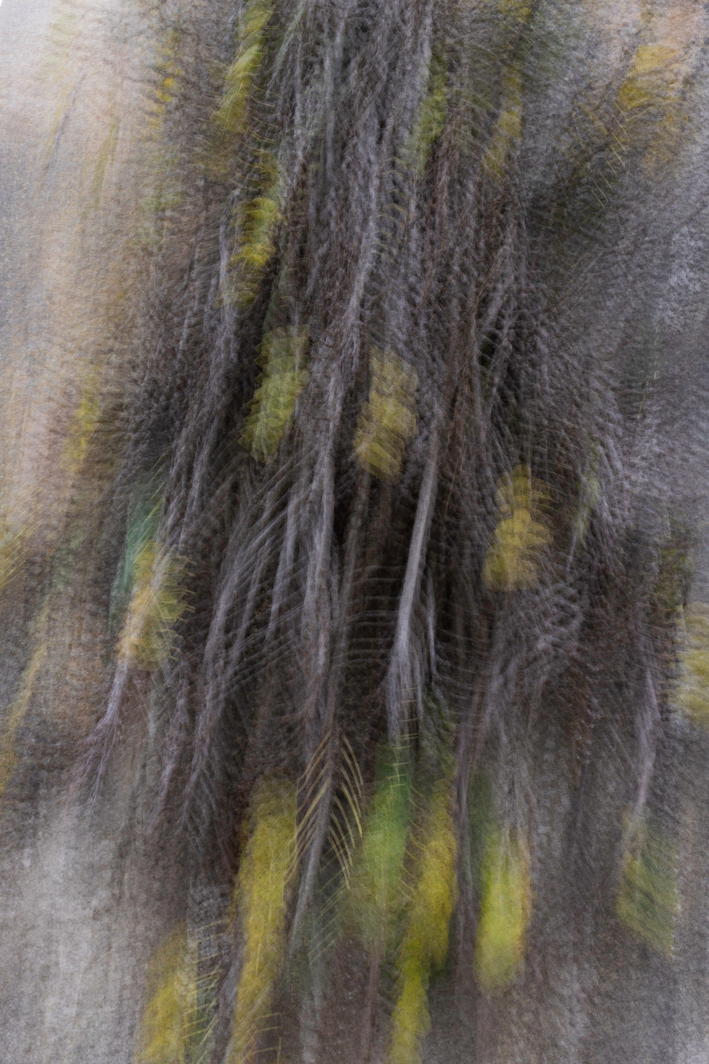 Art prints. Фотограф алина стерхова, алина стерхова фотограф, фотограф москва