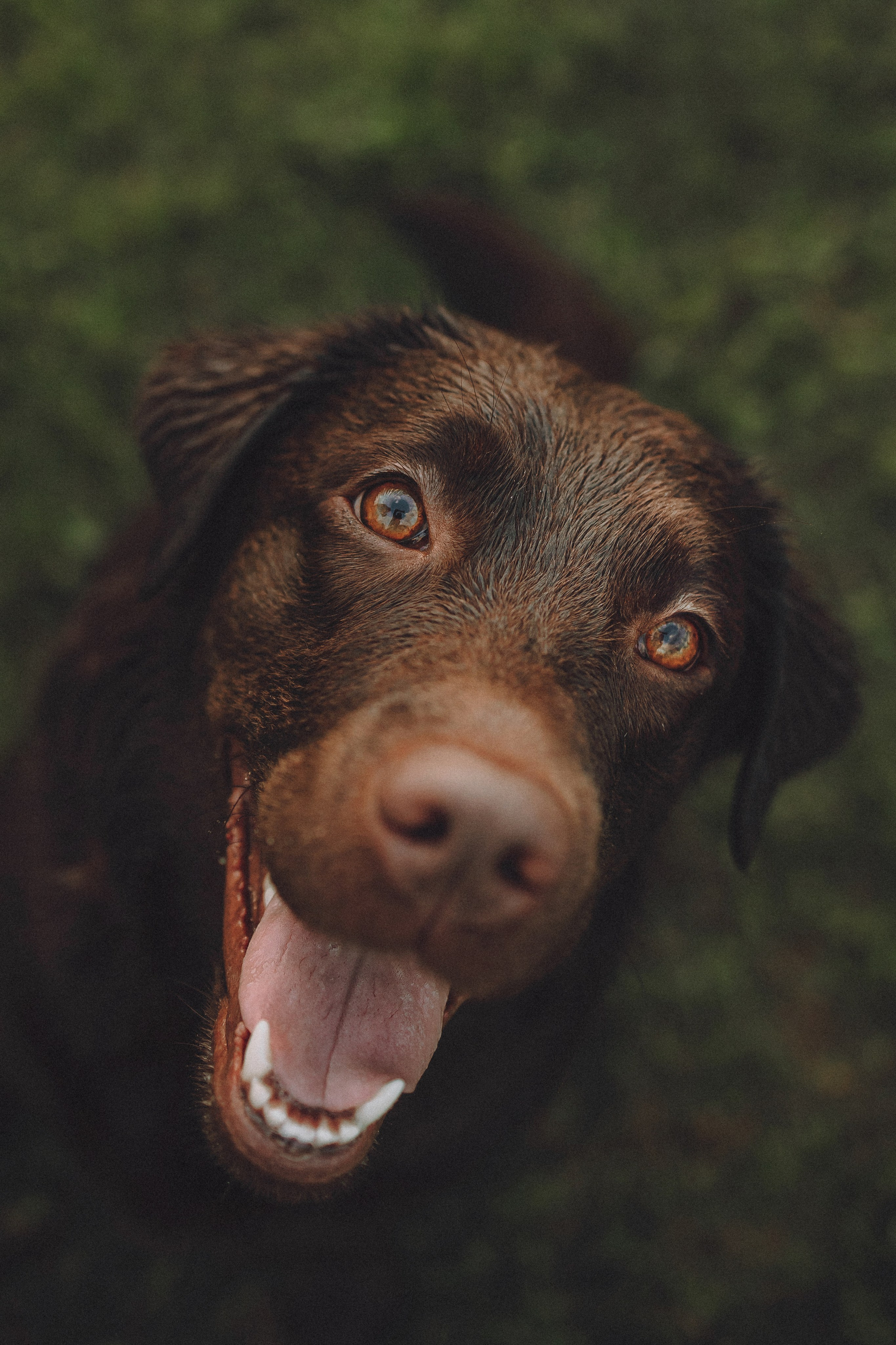 Катя, Ваня и Джеси