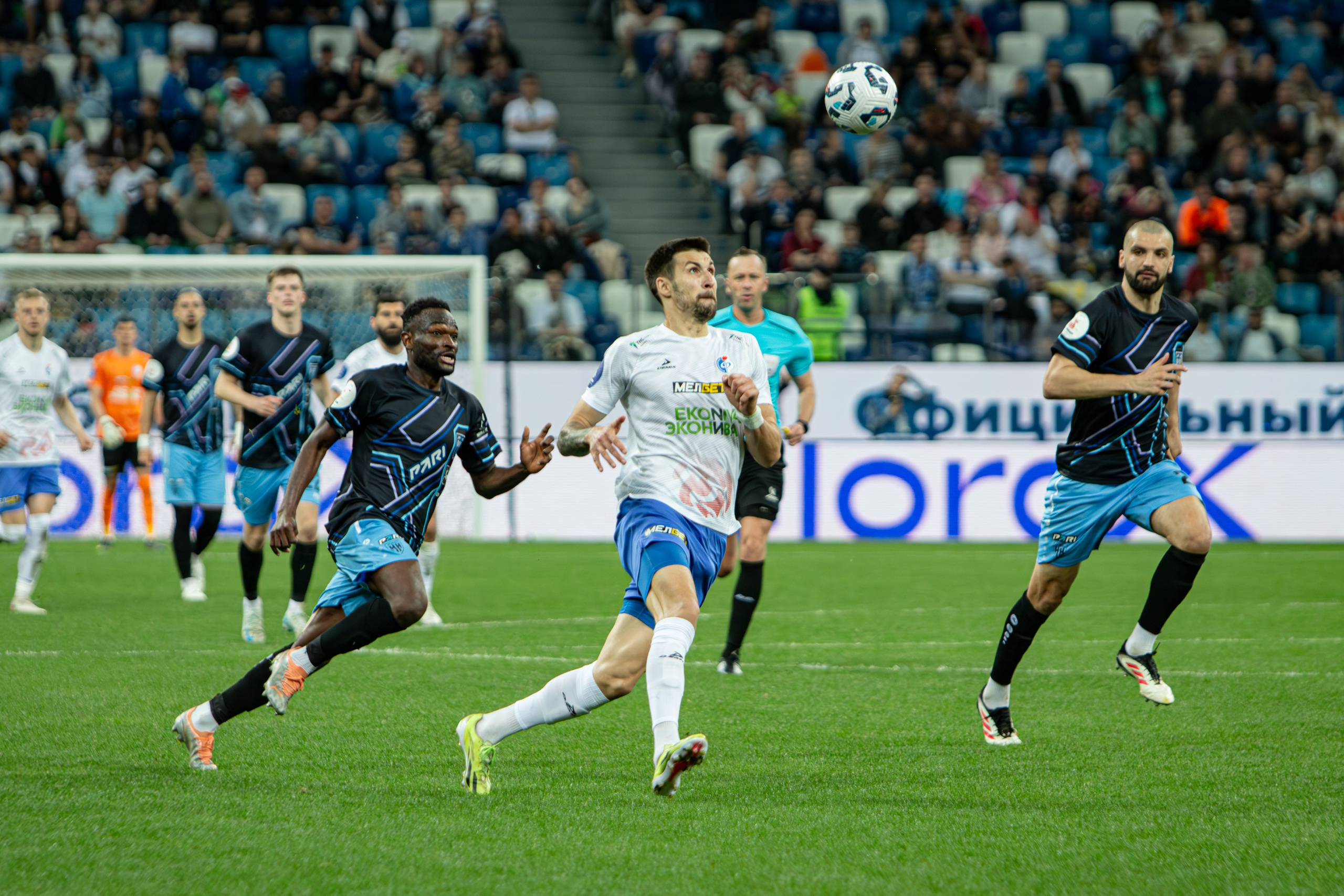 Пари НН — Факел. Спортивный фотограф в Смоленске — Екатерина Степенок