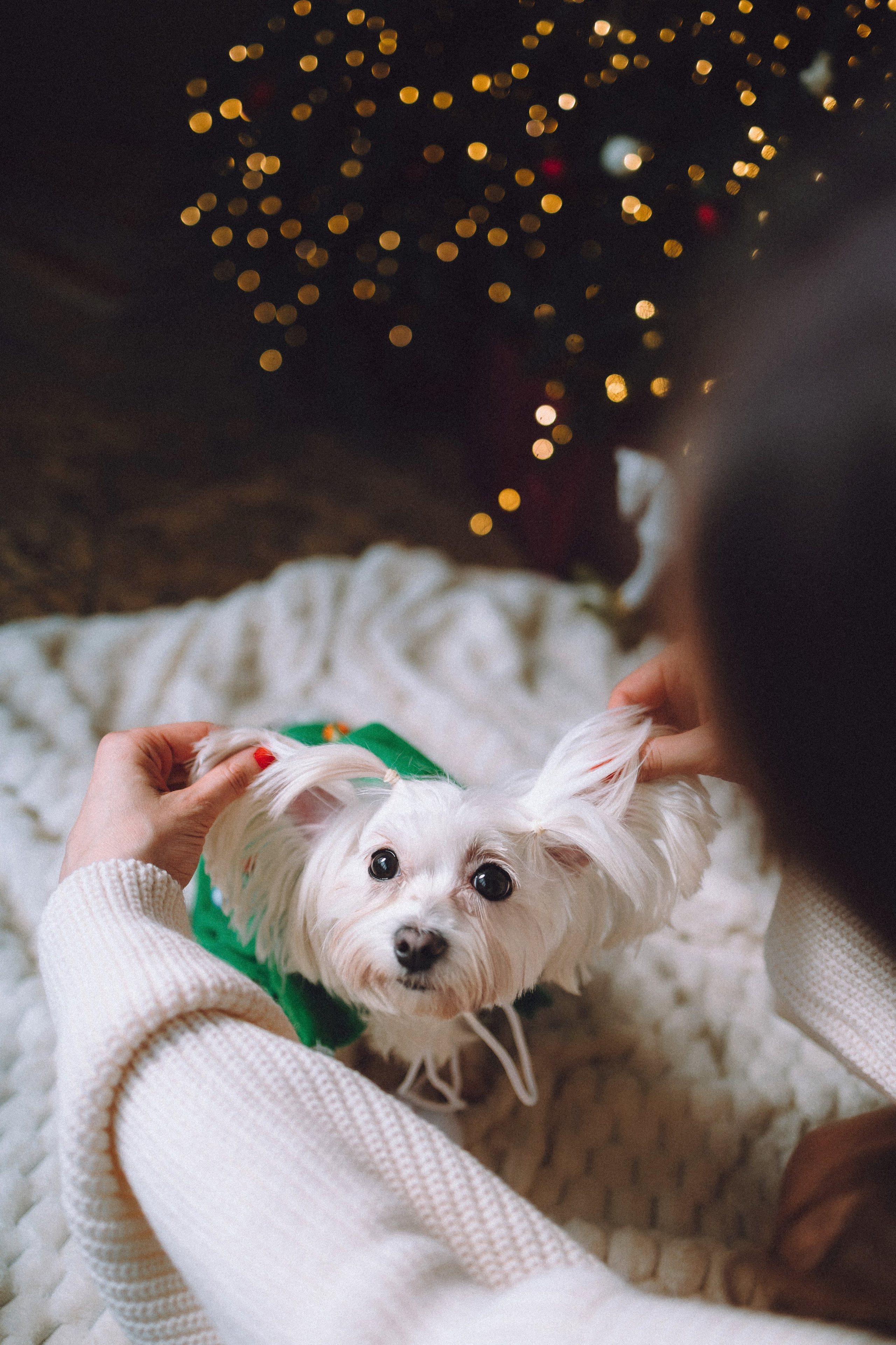 Констанция и Молли