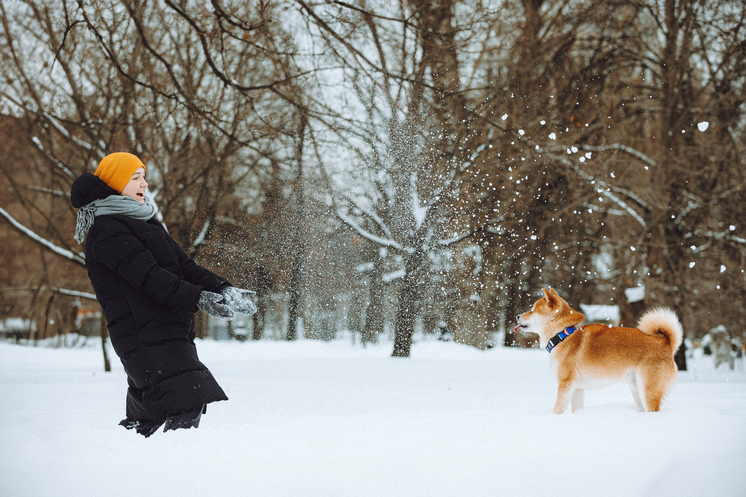 Настя и Ронин
