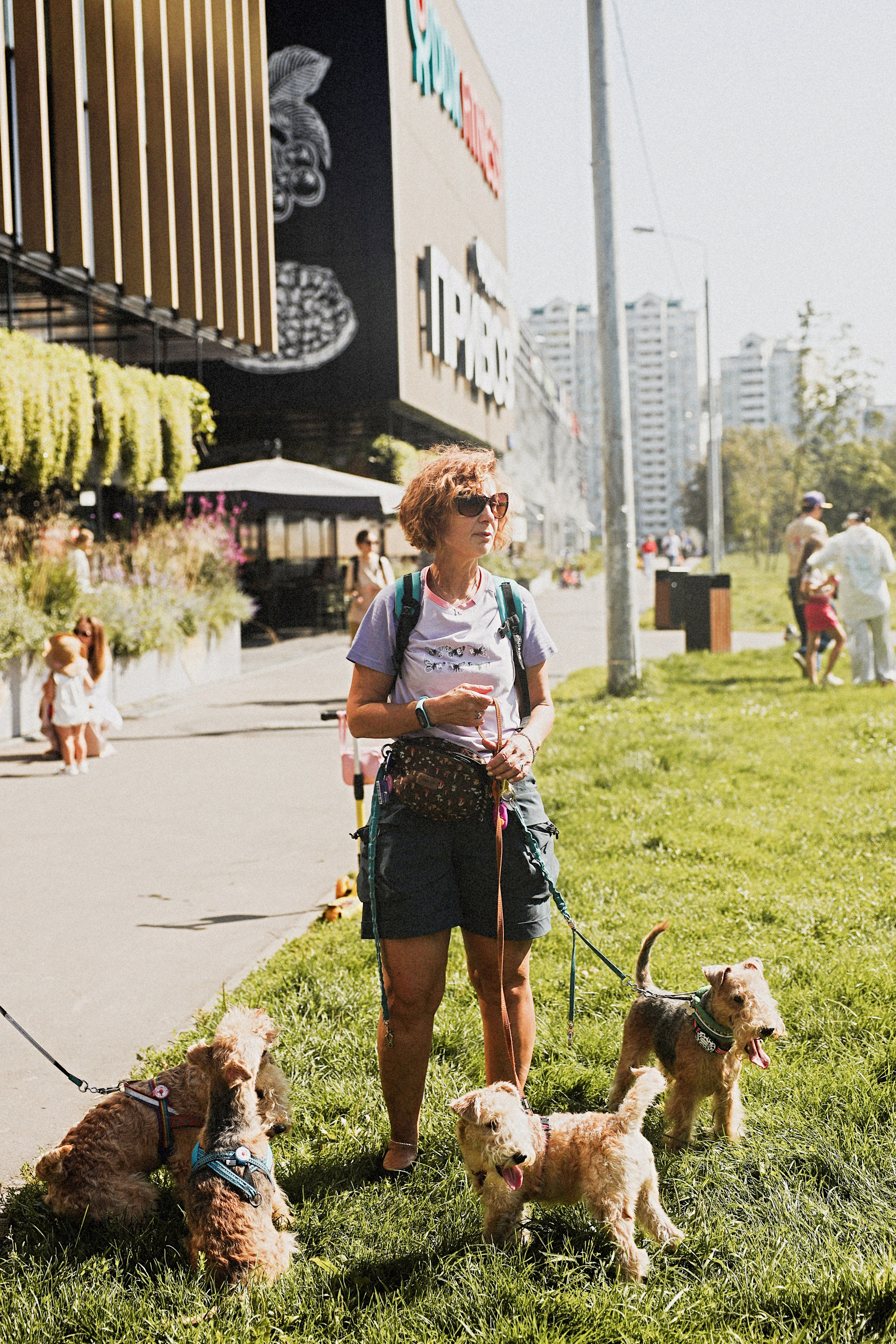 Дог пати. Коцаба Виктория фотограф в Москве