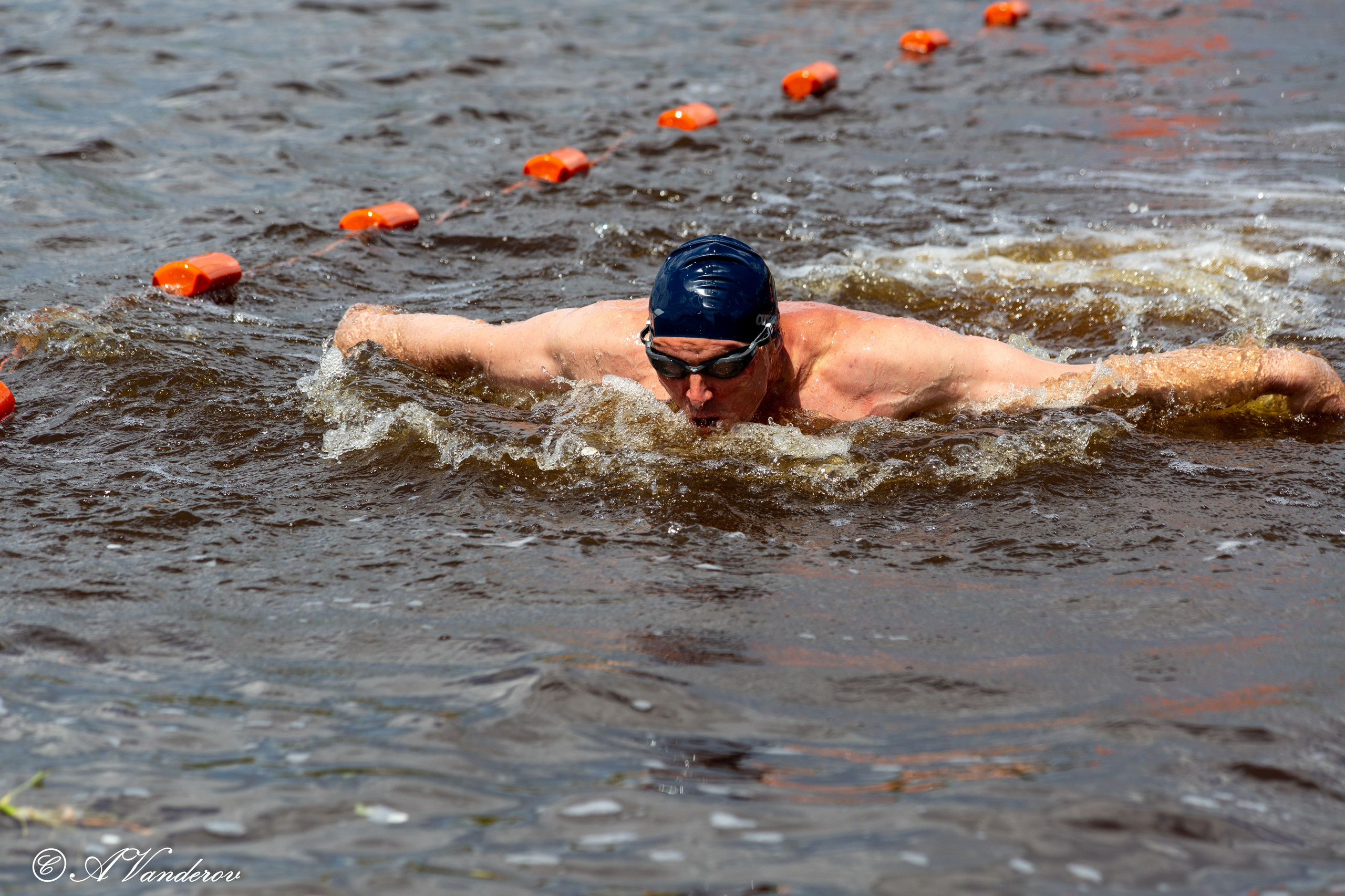 Заплыв 02.06.2024. Фотограф Омск | Александр Вандеров