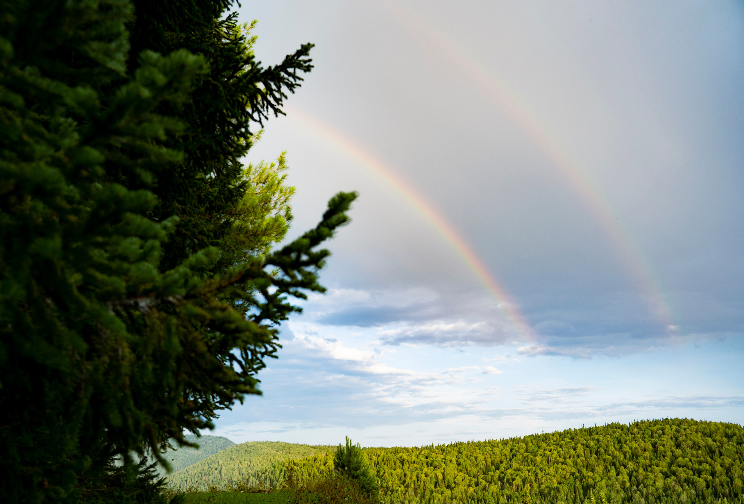 НАД ВОДОЙ. Фотограф Татьяна Андриянова