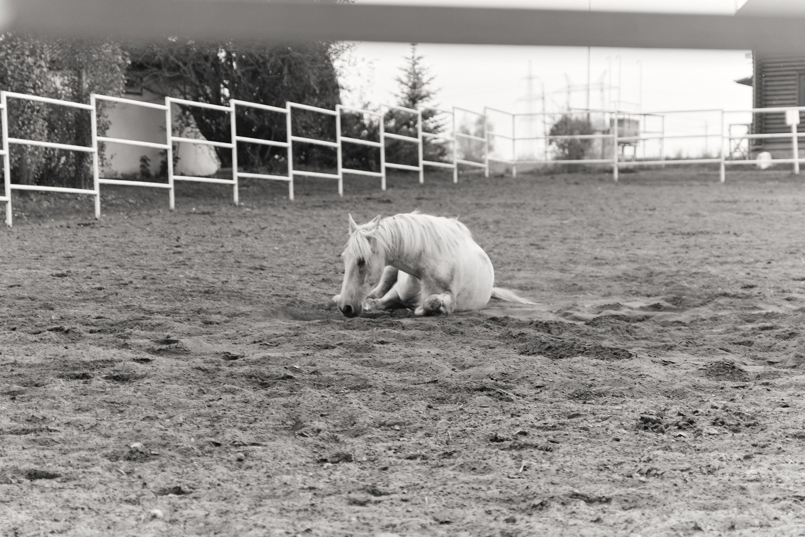 Alyona & Artemiy. Фотограф Дарья Зайцева