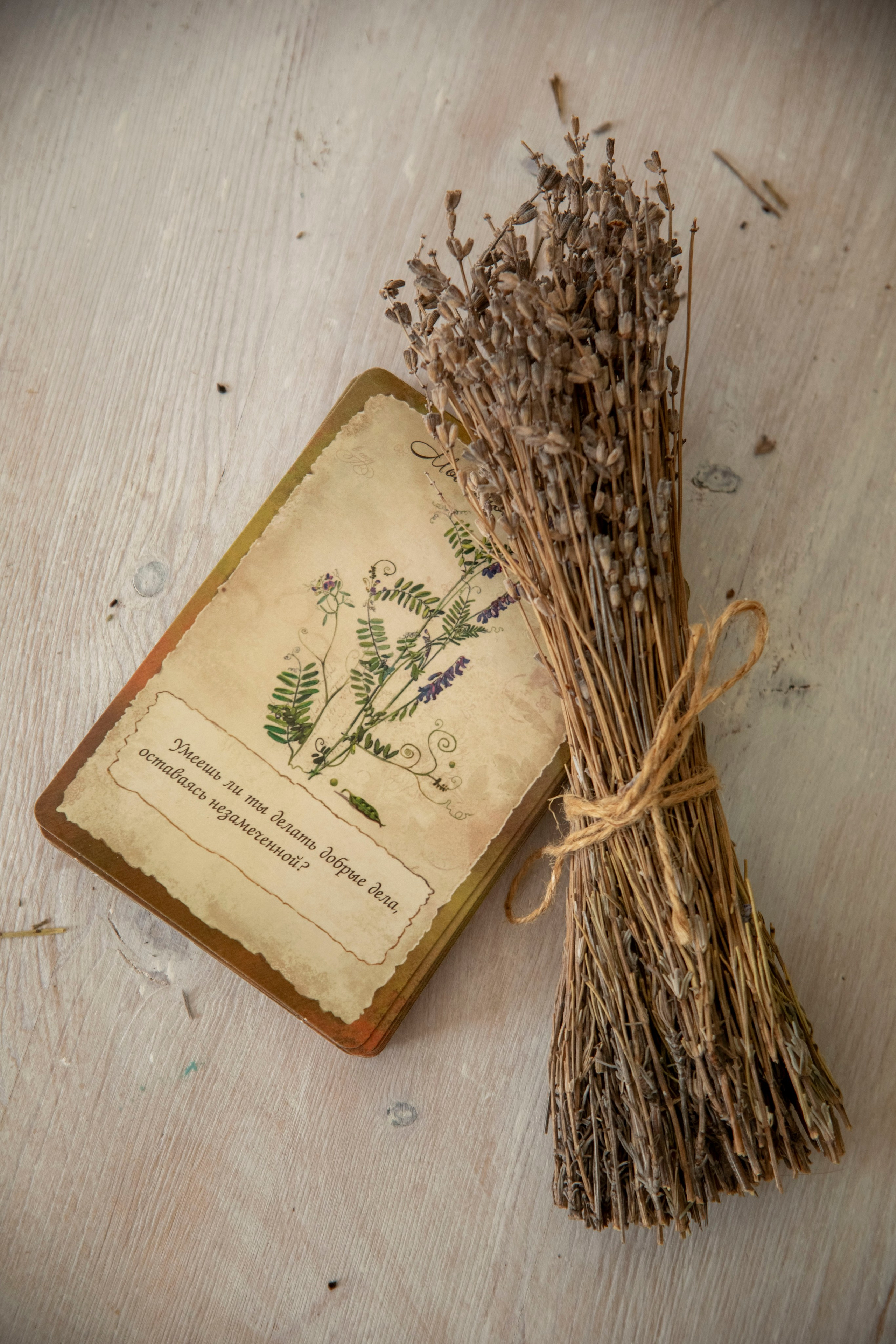 Съемка психолога