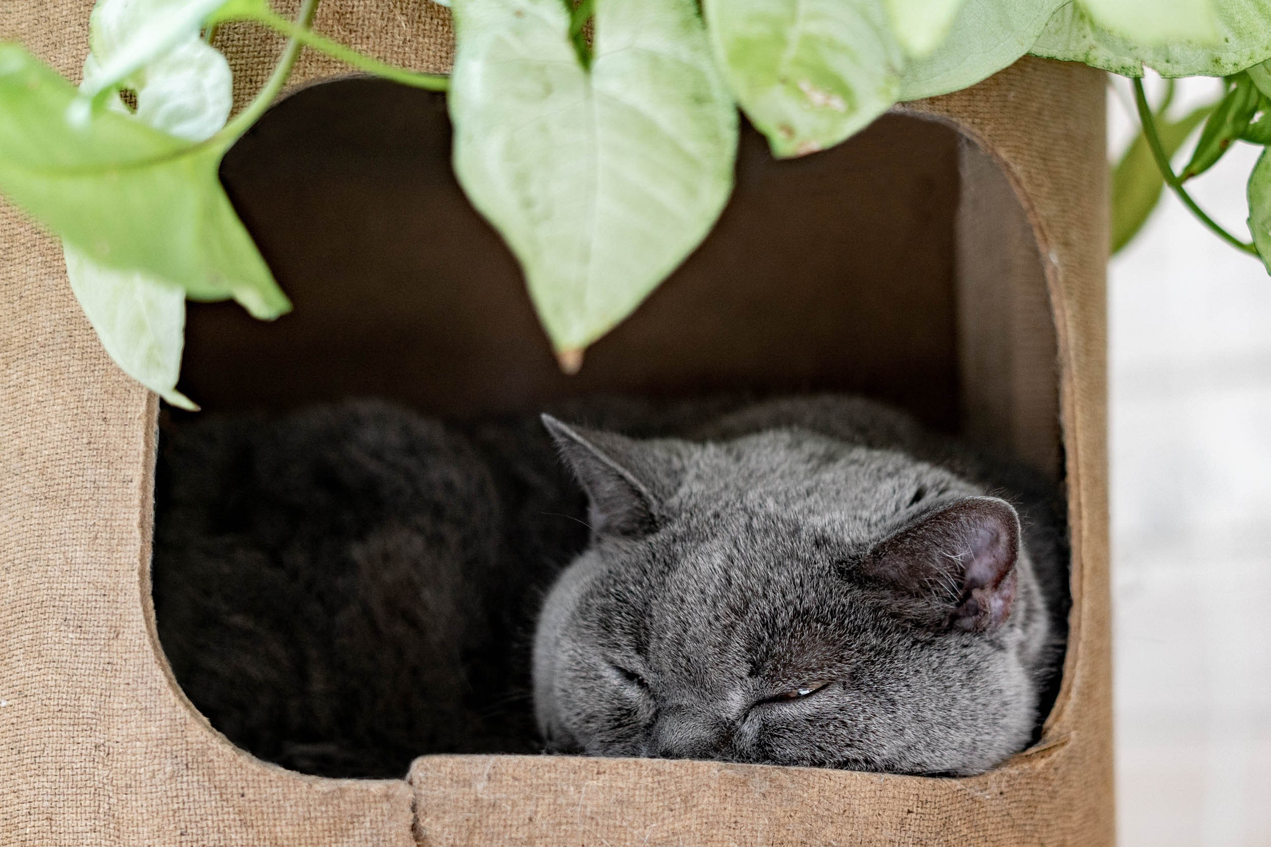 Гостиница. Фотограф Екатерина Зорина