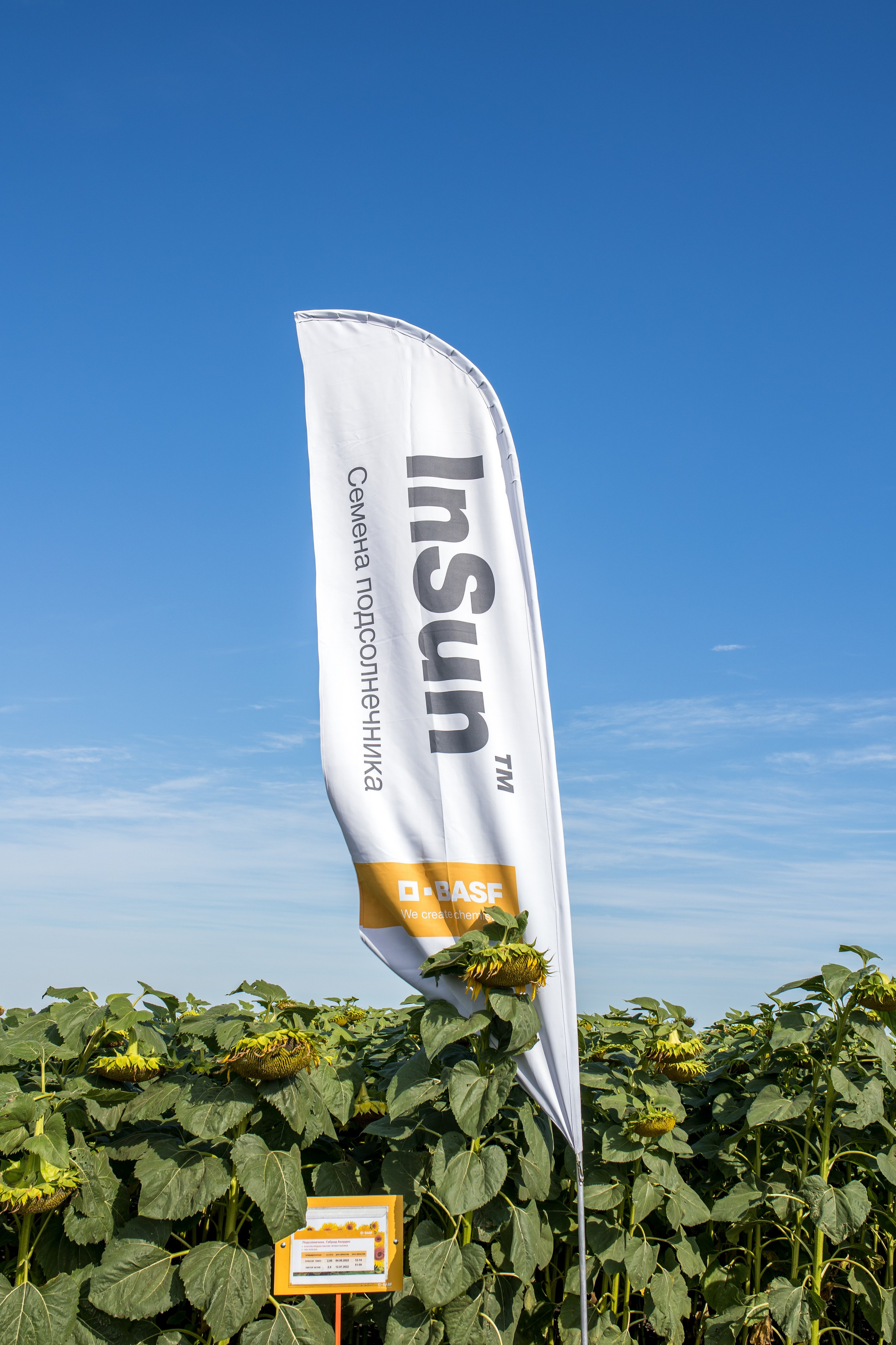 Решения для сельского хозяйства BASF 16.08.2022. Владислав Волков | Фотография и видеосъемка в Воронеже