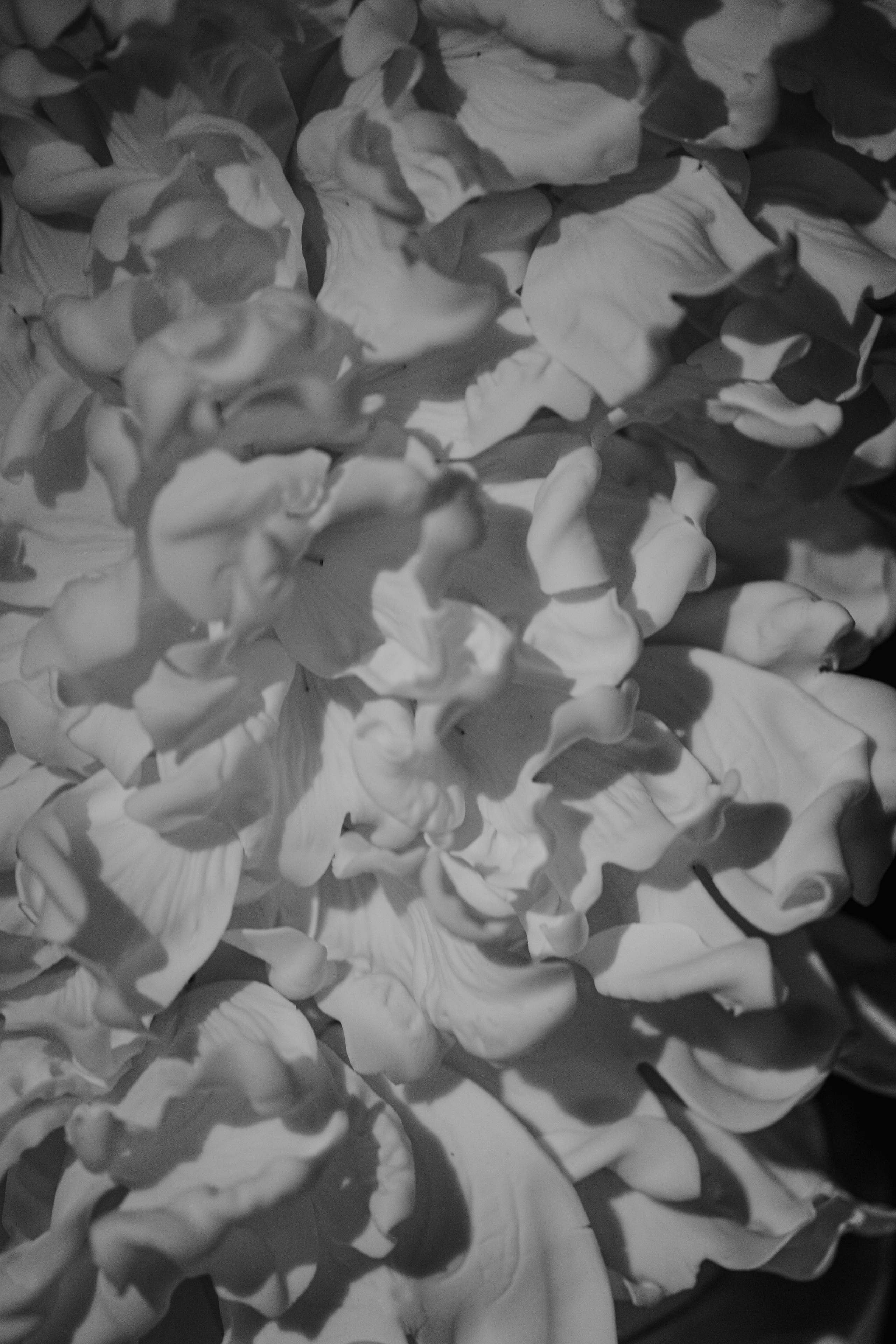 Casa Sur. Wedding & Documentary Photographer based in Nuremberg — available across Europe & Turkey | Vitalii Nasonov