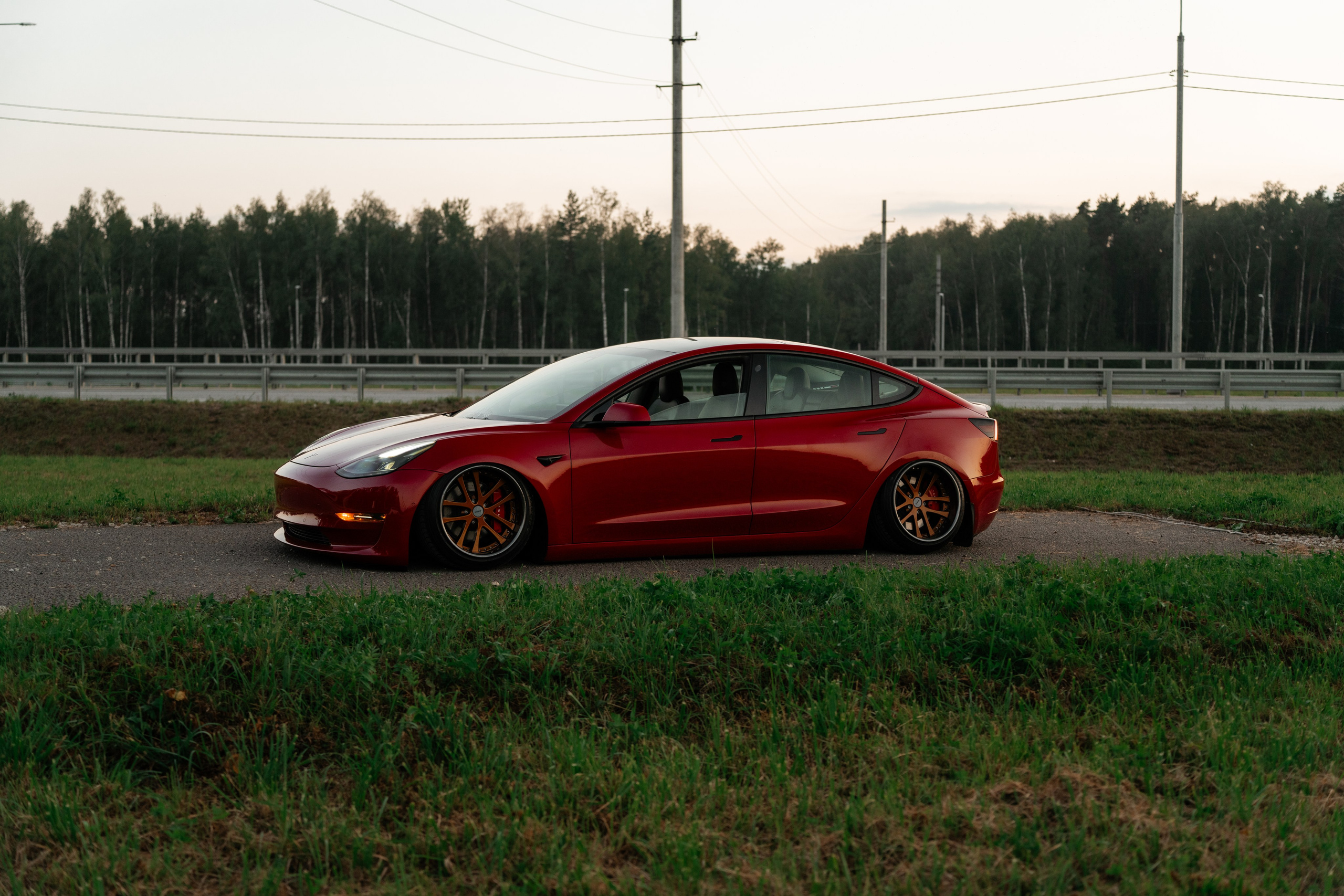Tesla 3 Stance. Vlad Trykov