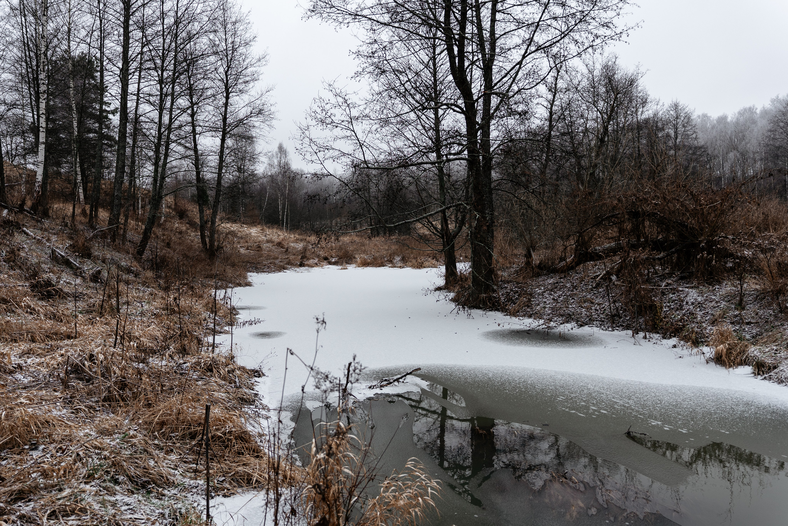 Прогулка по оврагу близ реки. Vlad Trykov