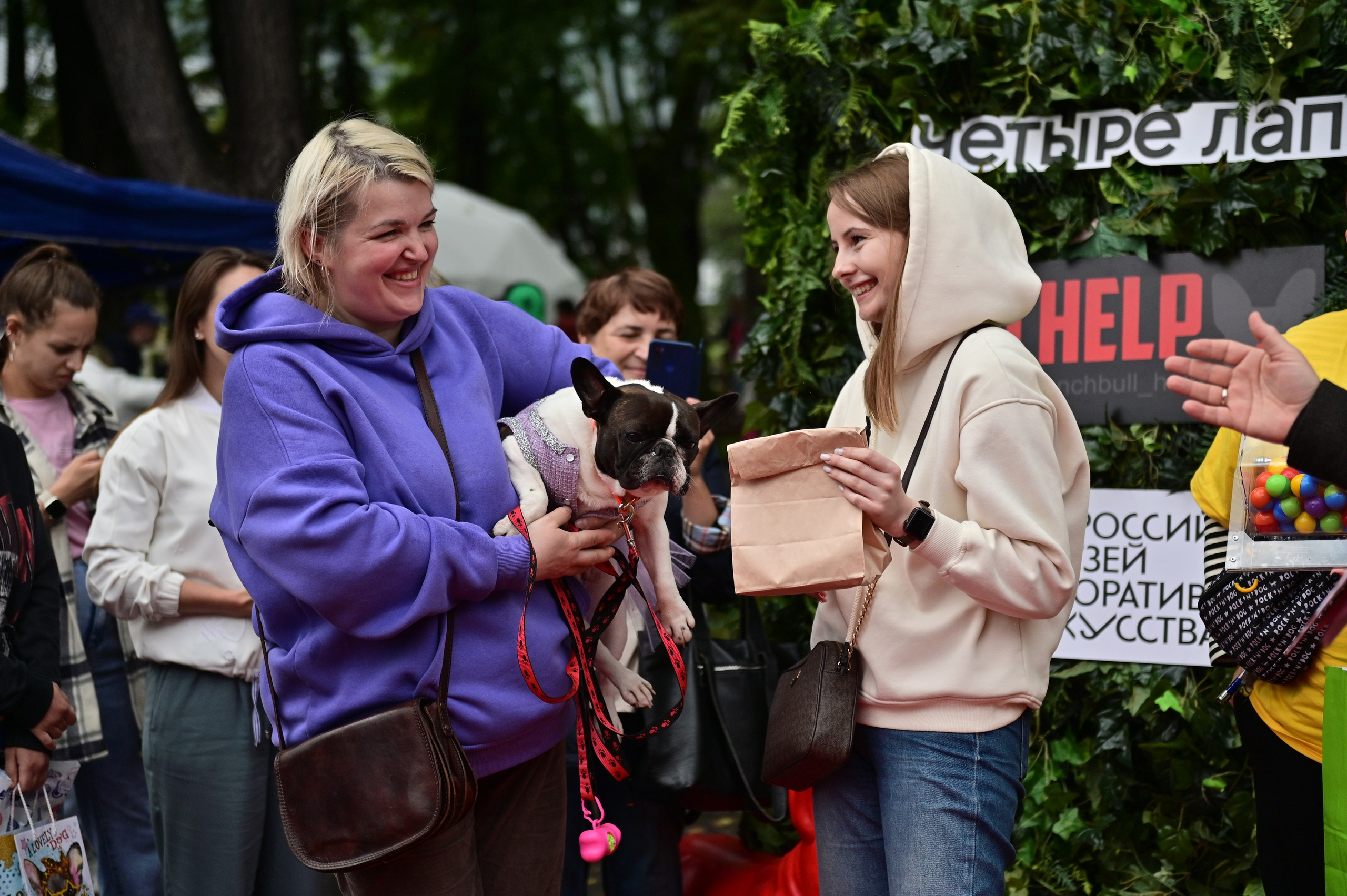 Парад французский бульдогов. Анна Пушина, фотограф, Москва, Королев, Пушкино