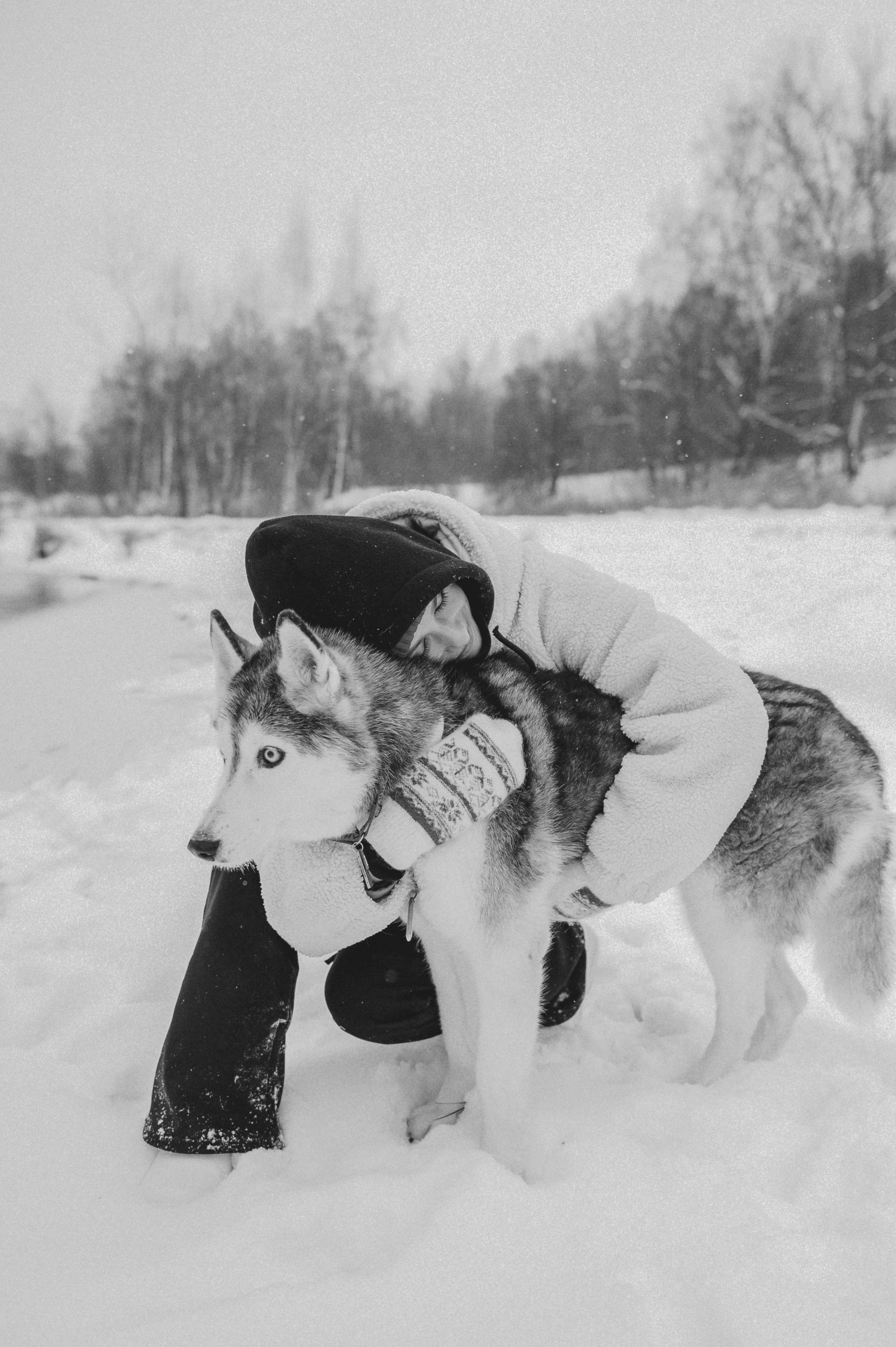 Люда и хаски Тегра (Королев, 2024). Анна Пушина, фотограф, Москва, Королев, Пушкино