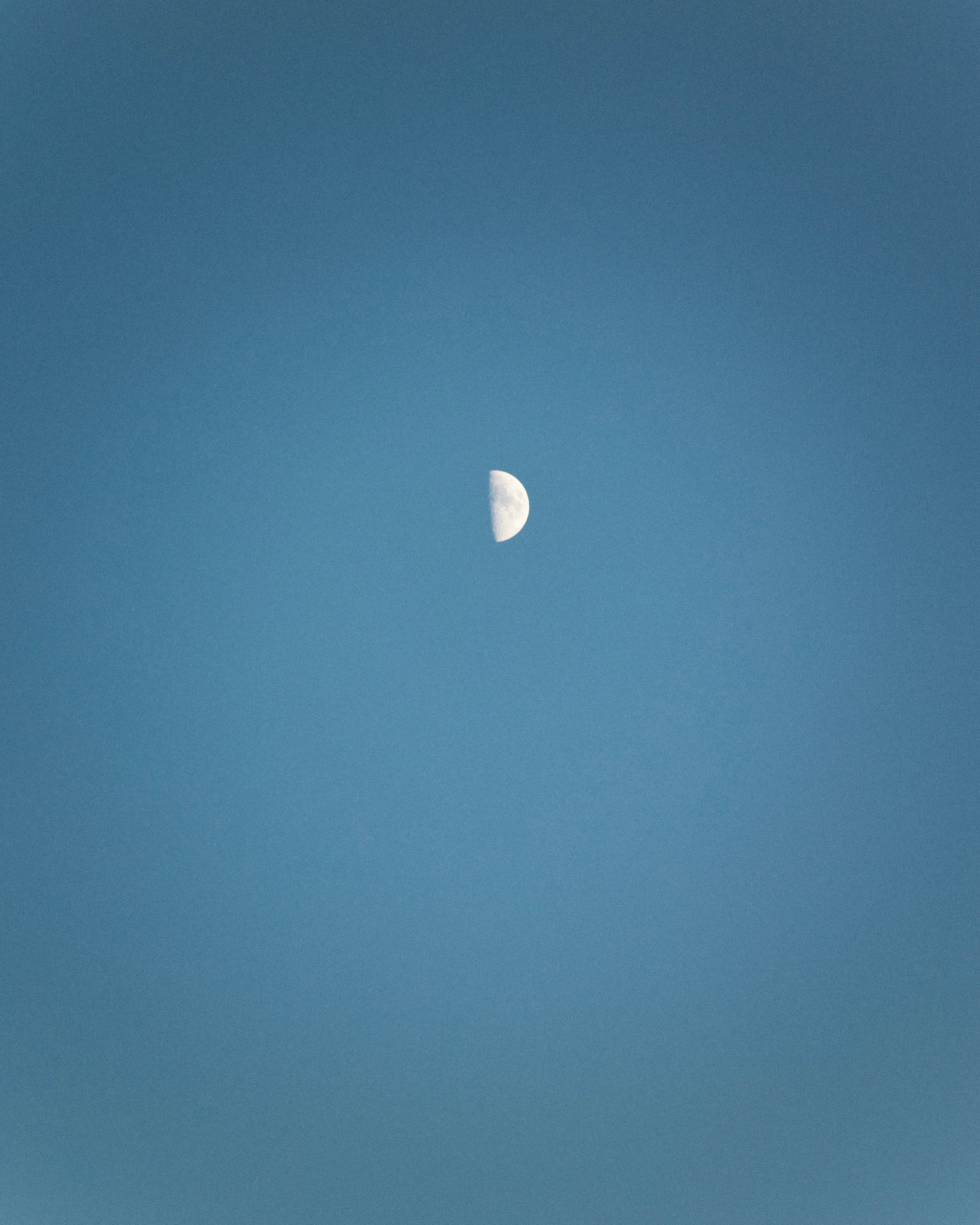 Егор и Лена. Светлана, свадебный фотограф Санкт-Петербург / СПб