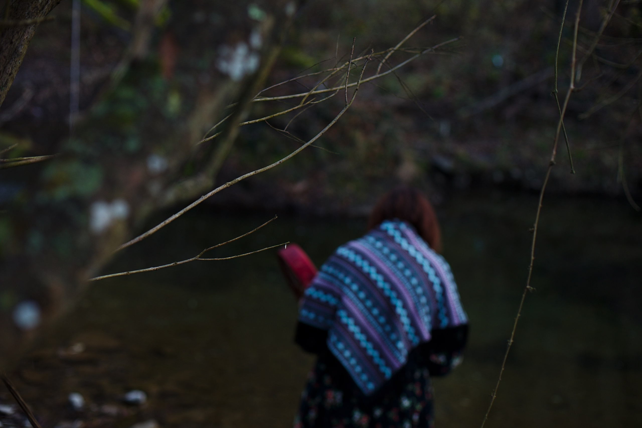 Наталья Грибенникова. Анастасия Либерти