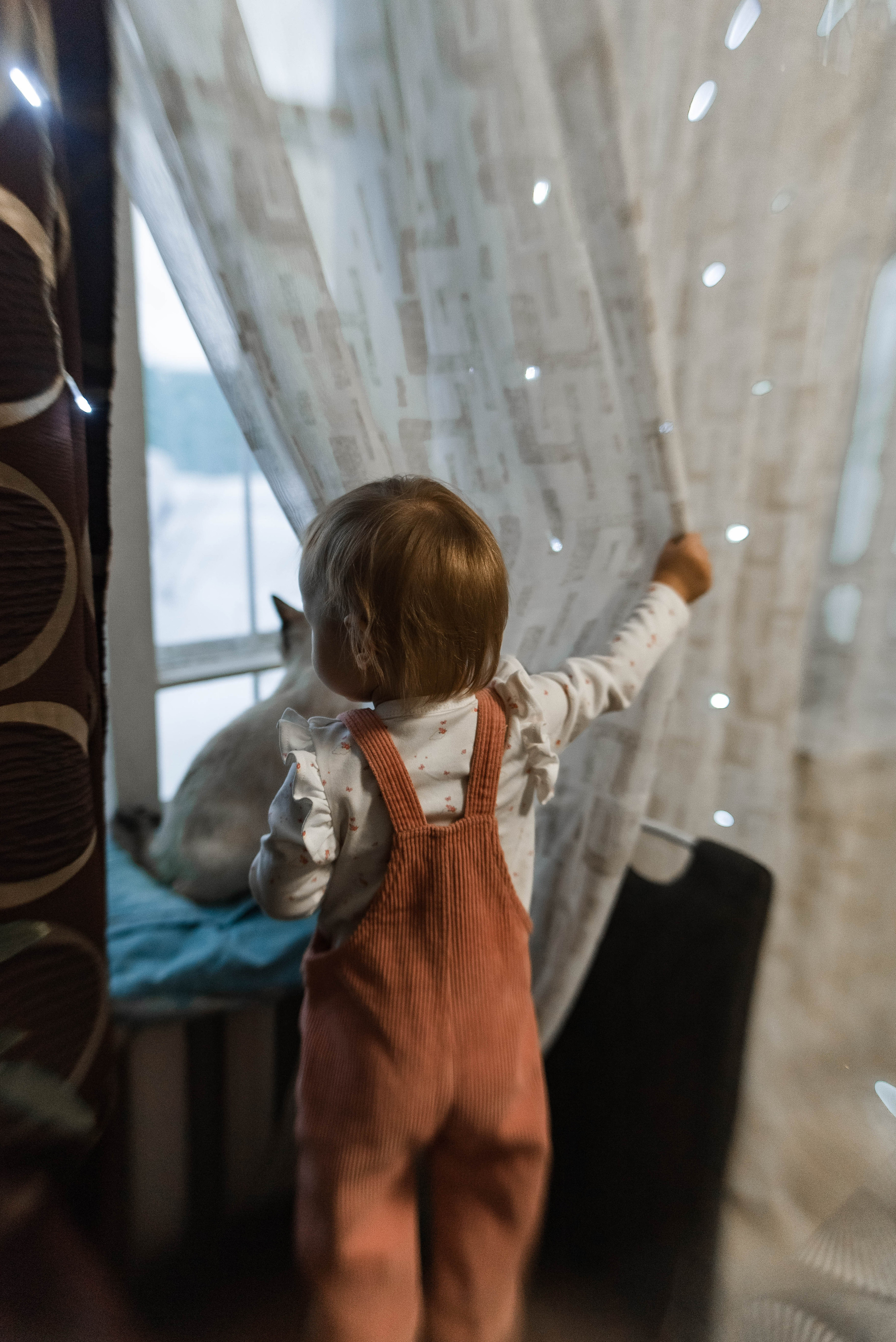 Домашняя для Альбины и её семьи. Семейный и детский фотограф в Санкт-Петербурге Татьяна Дмитренко