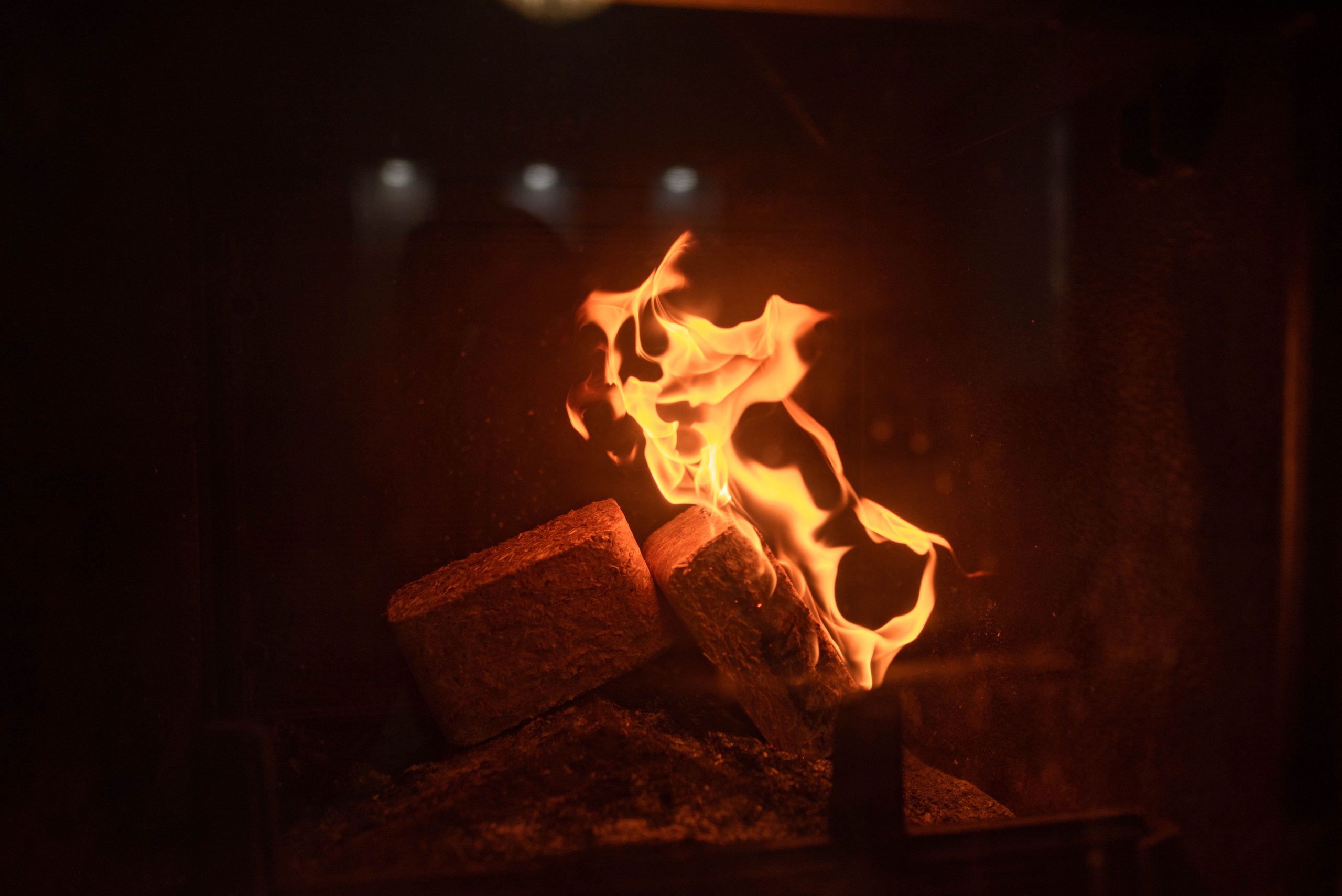 Новогодняя фотосессия для Елены и её семьи. Семейный и детский фотограф в Санкт-Петербурге Татьяна Дмитренко