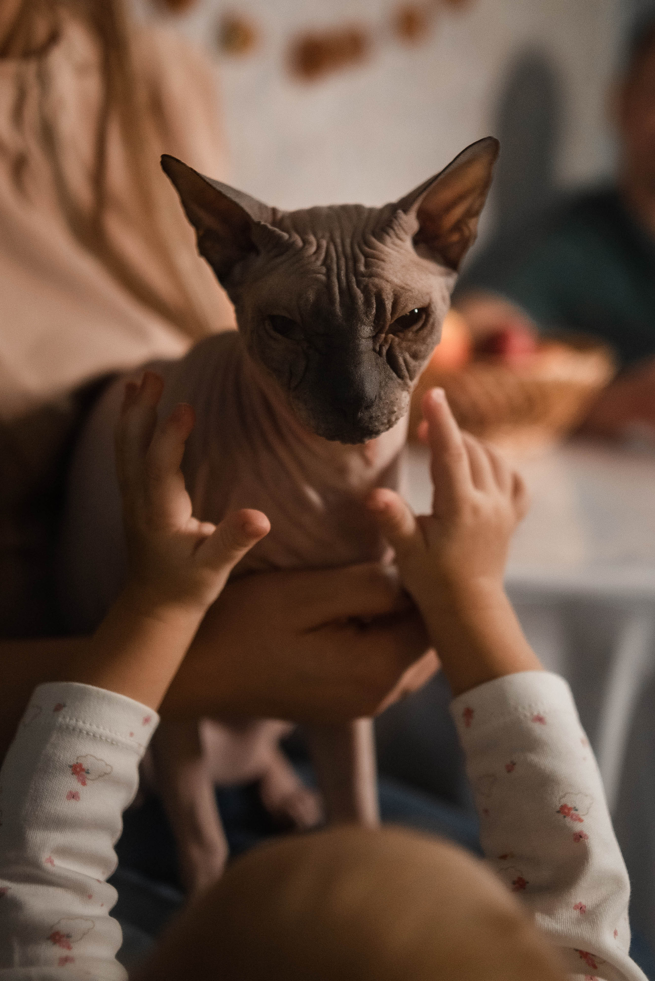 Домашняя для Альбины и её семьи. Семейный и детский фотограф в Санкт-Петербурге Татьяна Дмитренко