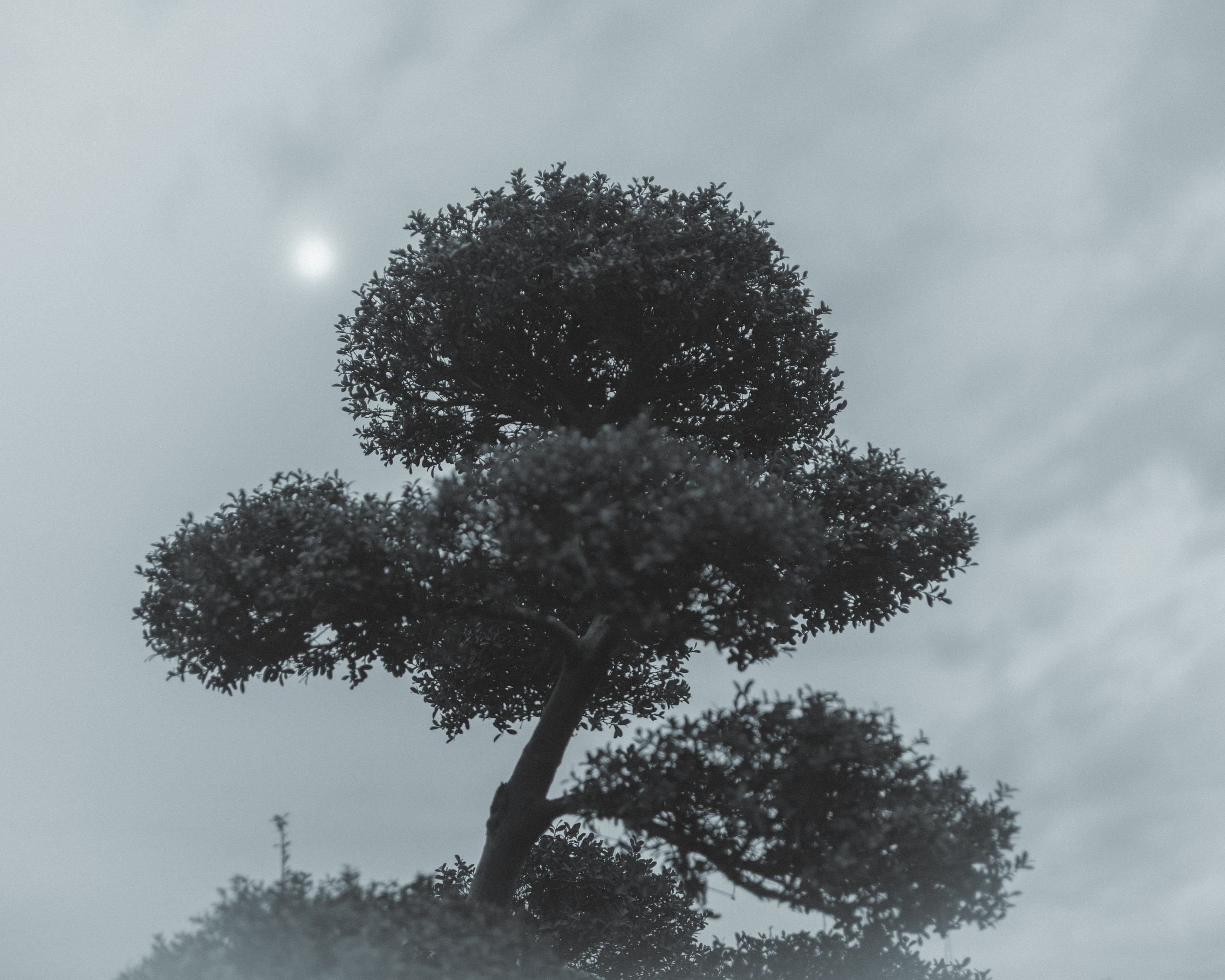 Silence. Главная