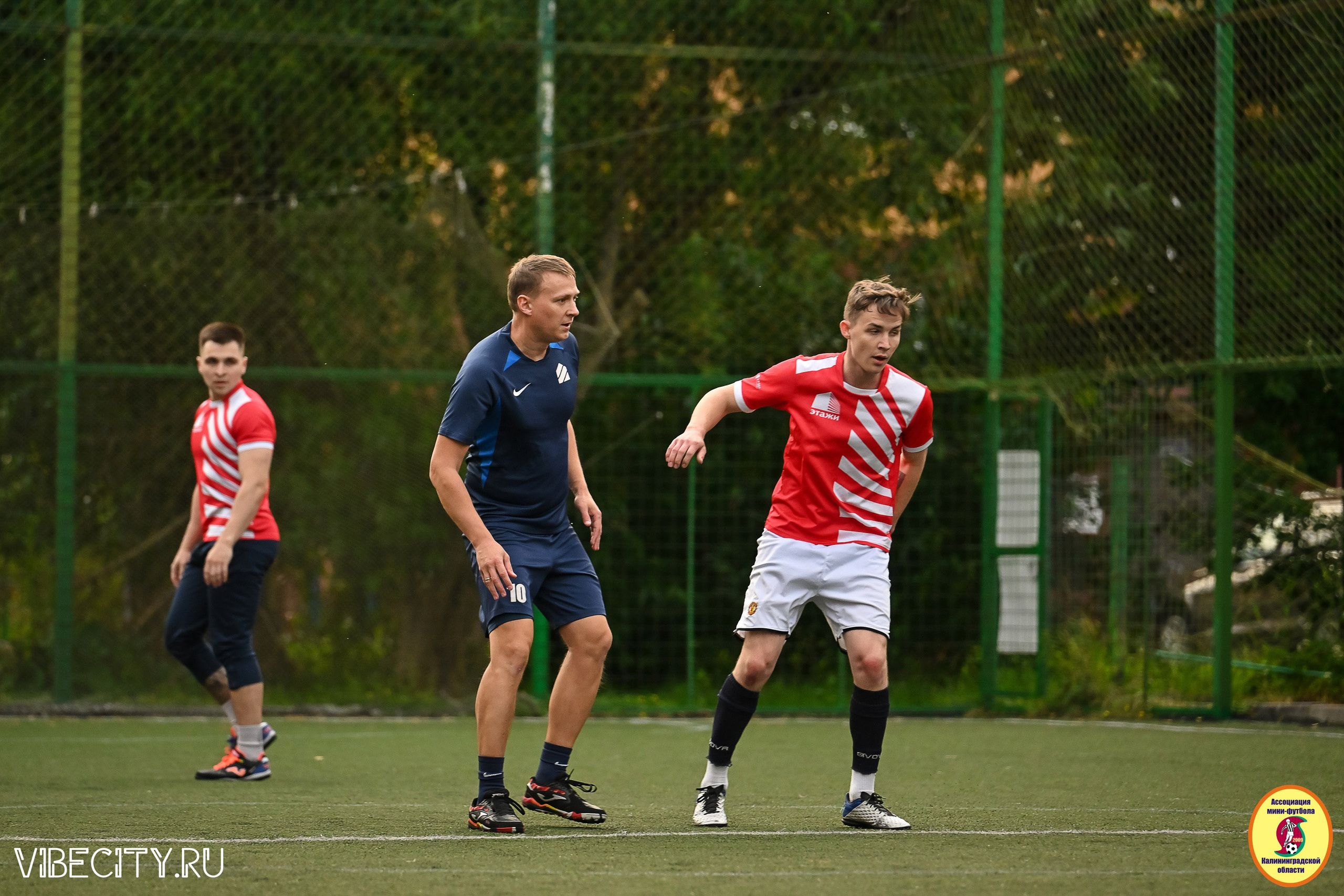 ИГРЫ МИНИ-ФУТБОЛЬНОЙ И КОРПОРАТИВНОЙ ЛИГИ. VIBECITY.RU Вайб Сити Ру Фоторепортажи Фотоотчеты Калининград