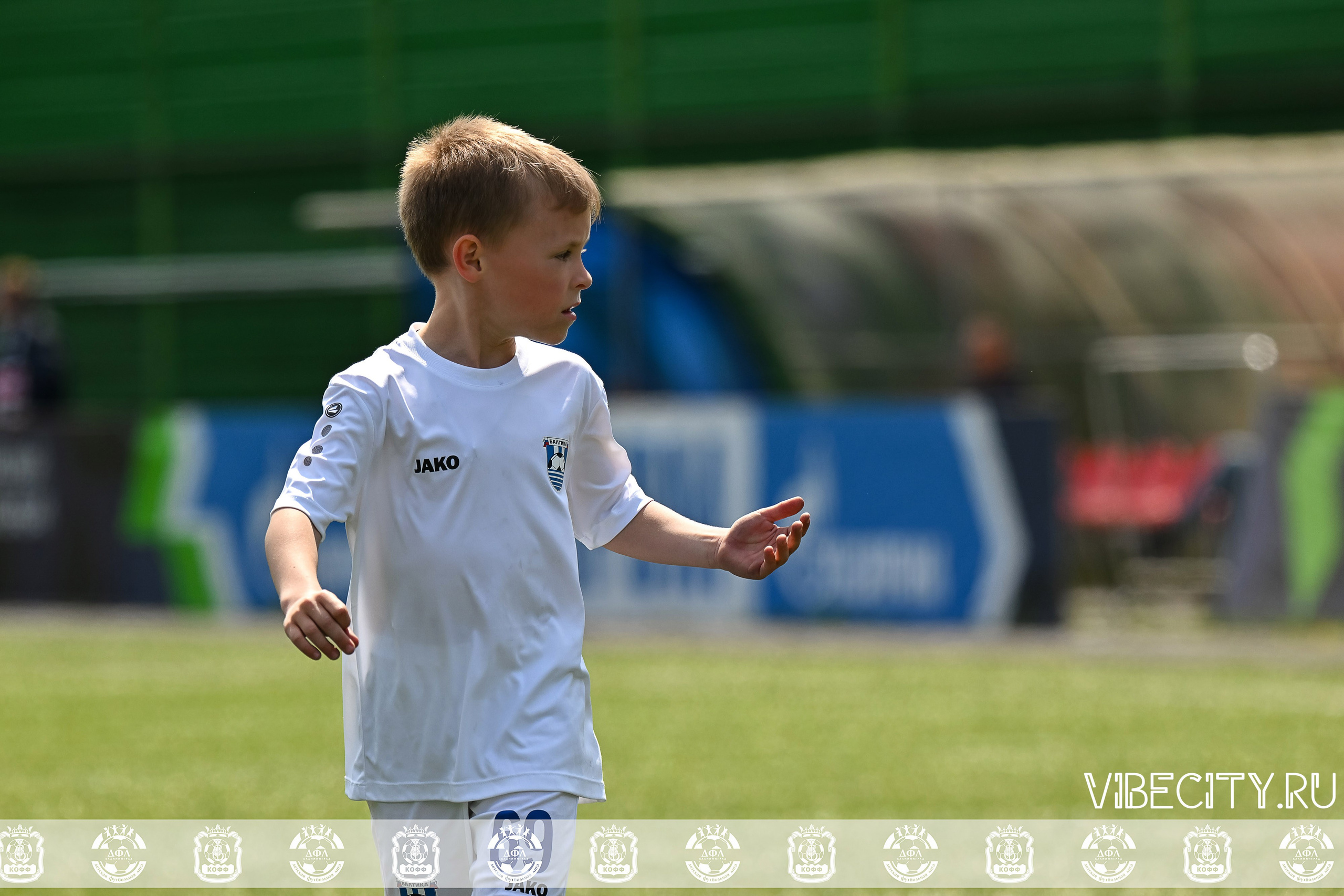 Большие Звезды светят Малым. VIBECITY.RU Вайб Сити Ру Фоторепортажи Фотоотчеты Калининград