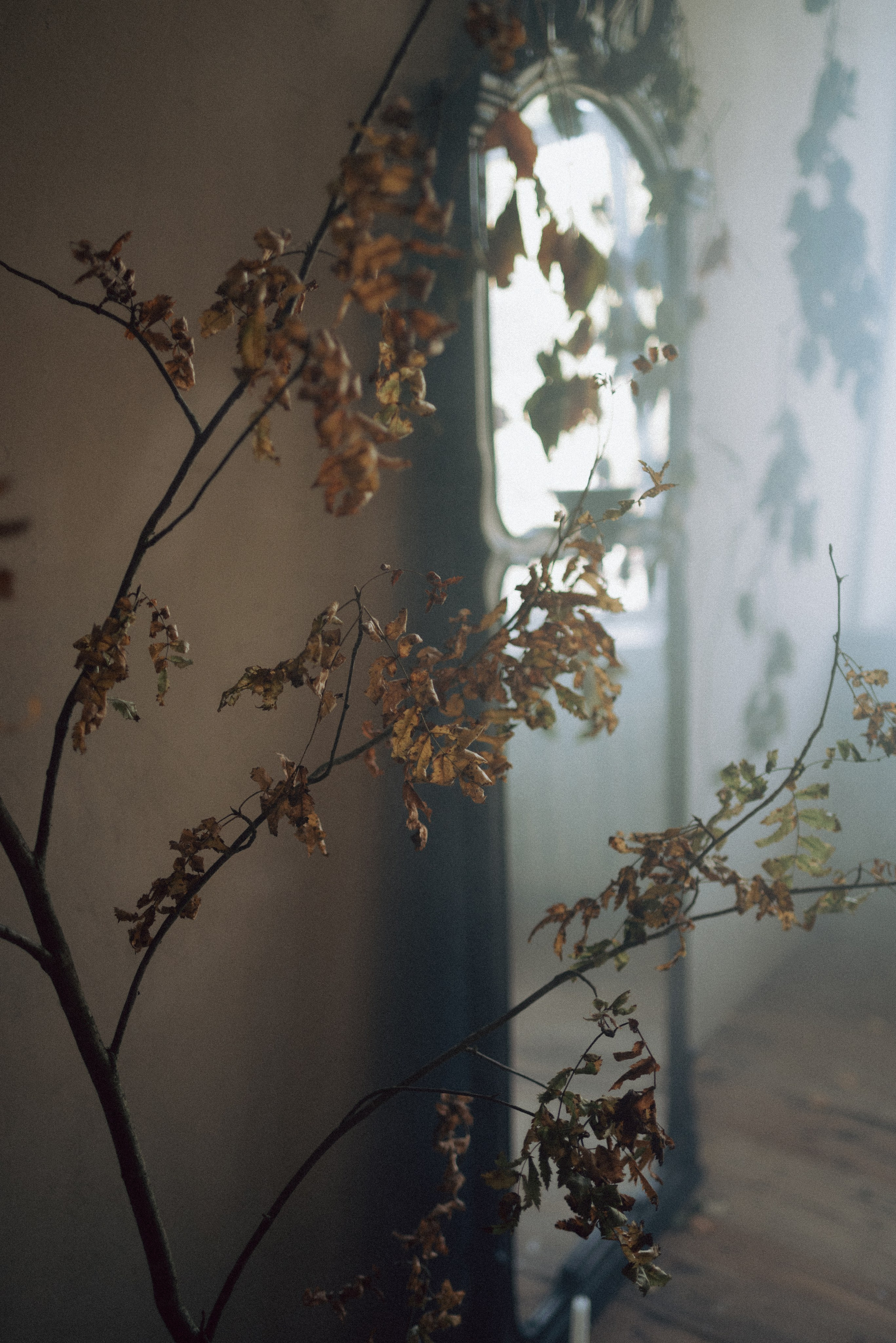 Вера. Свадебный и портретный фотограф Анастасия Тетёркина, Брянск и Санкт-Петербург