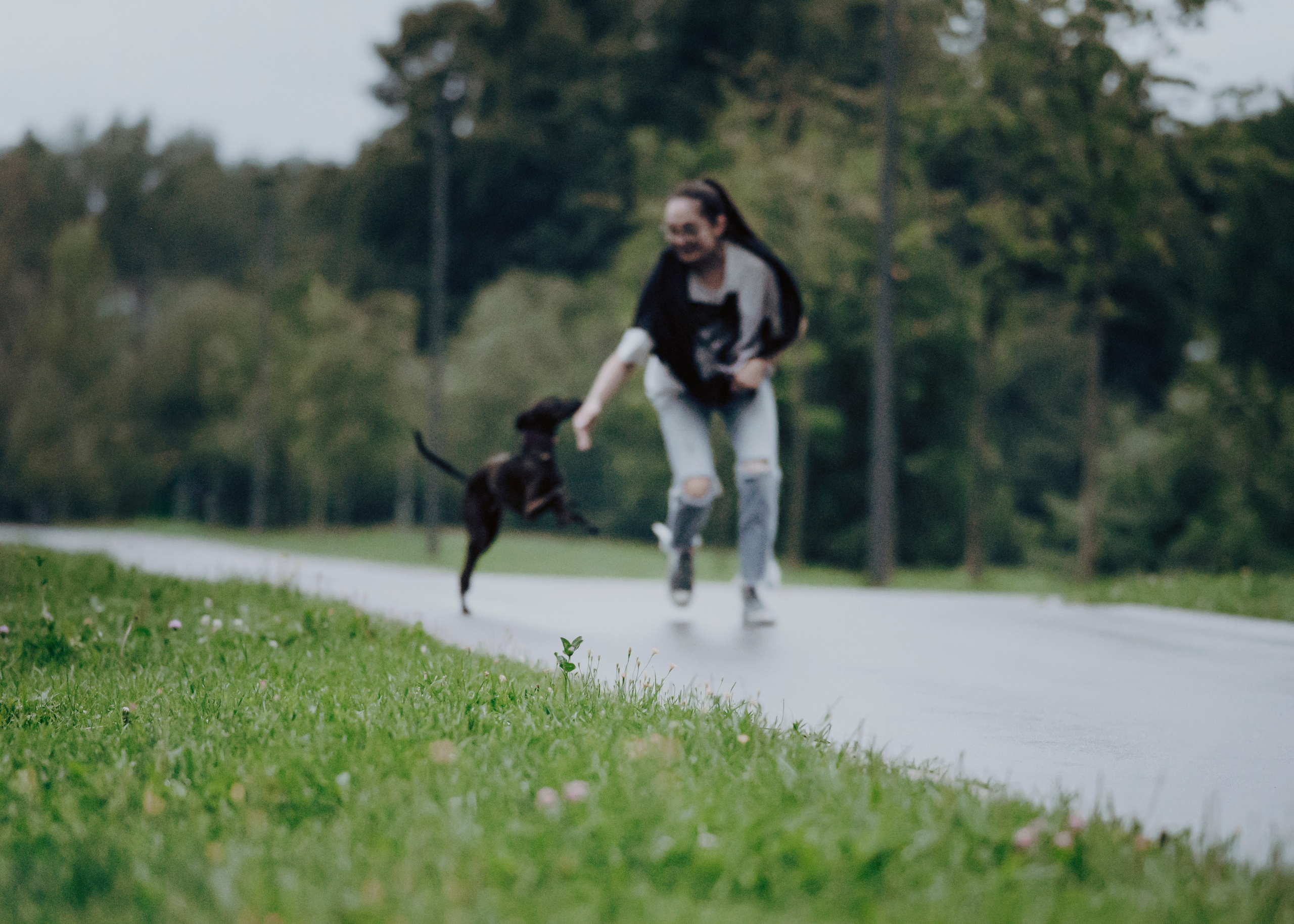 Дофи. Фотограф- анималист Александра Матвеева