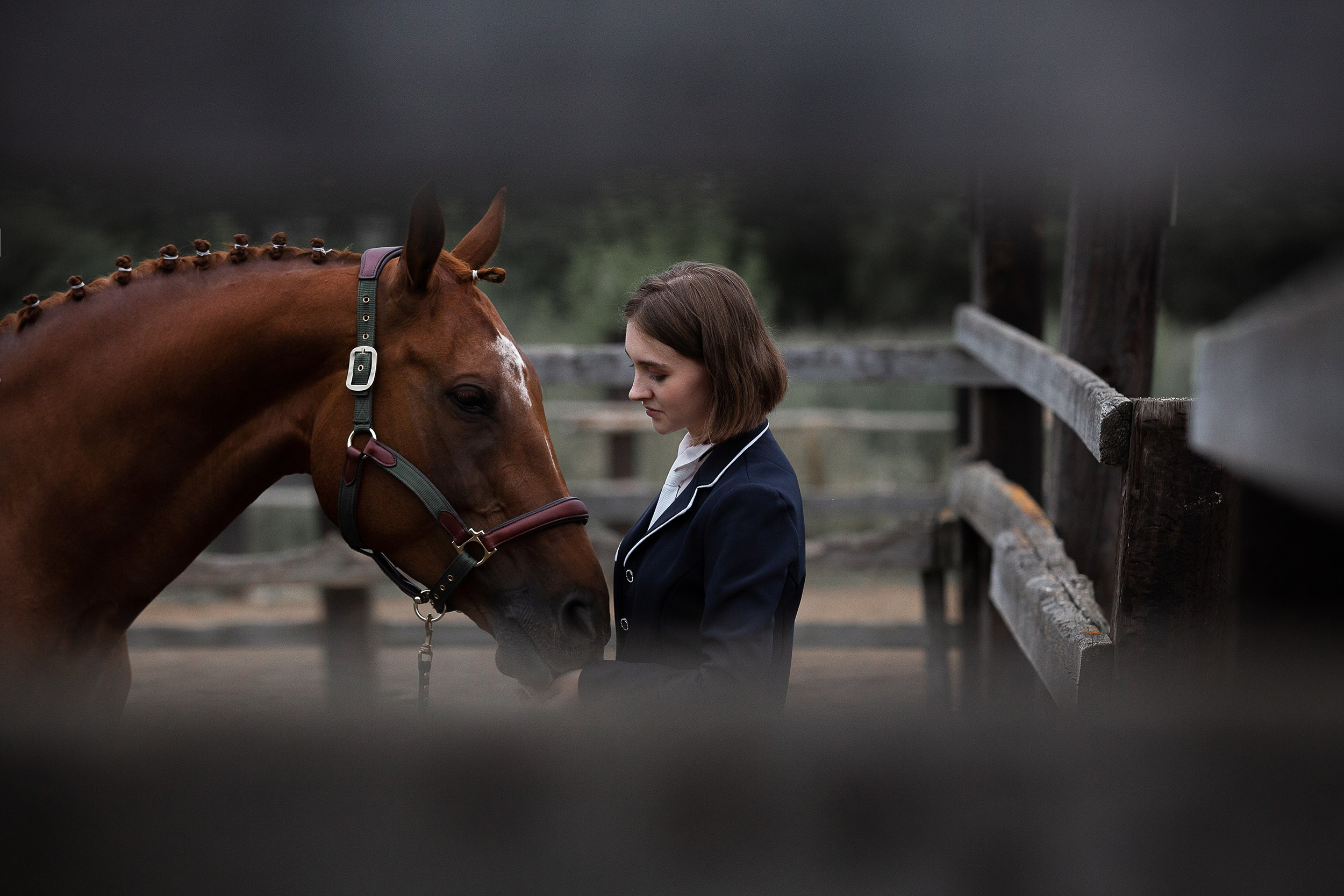 Люди. Фотограф-анималист Юлия Удовенко