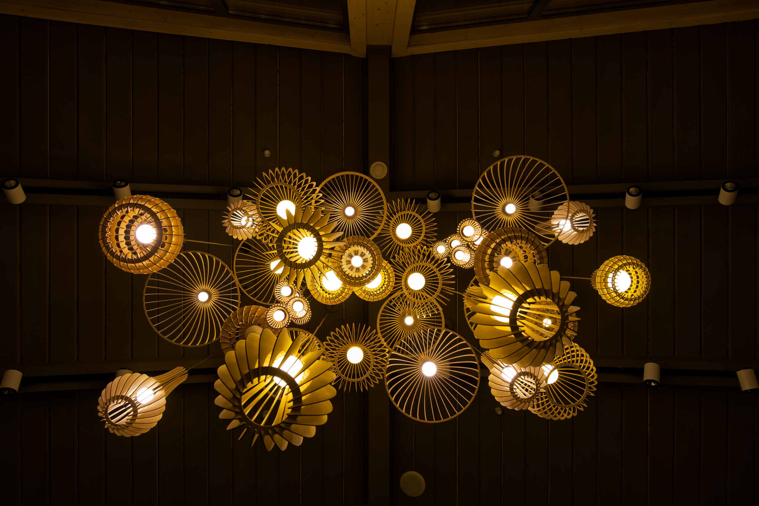 Интерьер эко-отеля "Изумрудный лес"