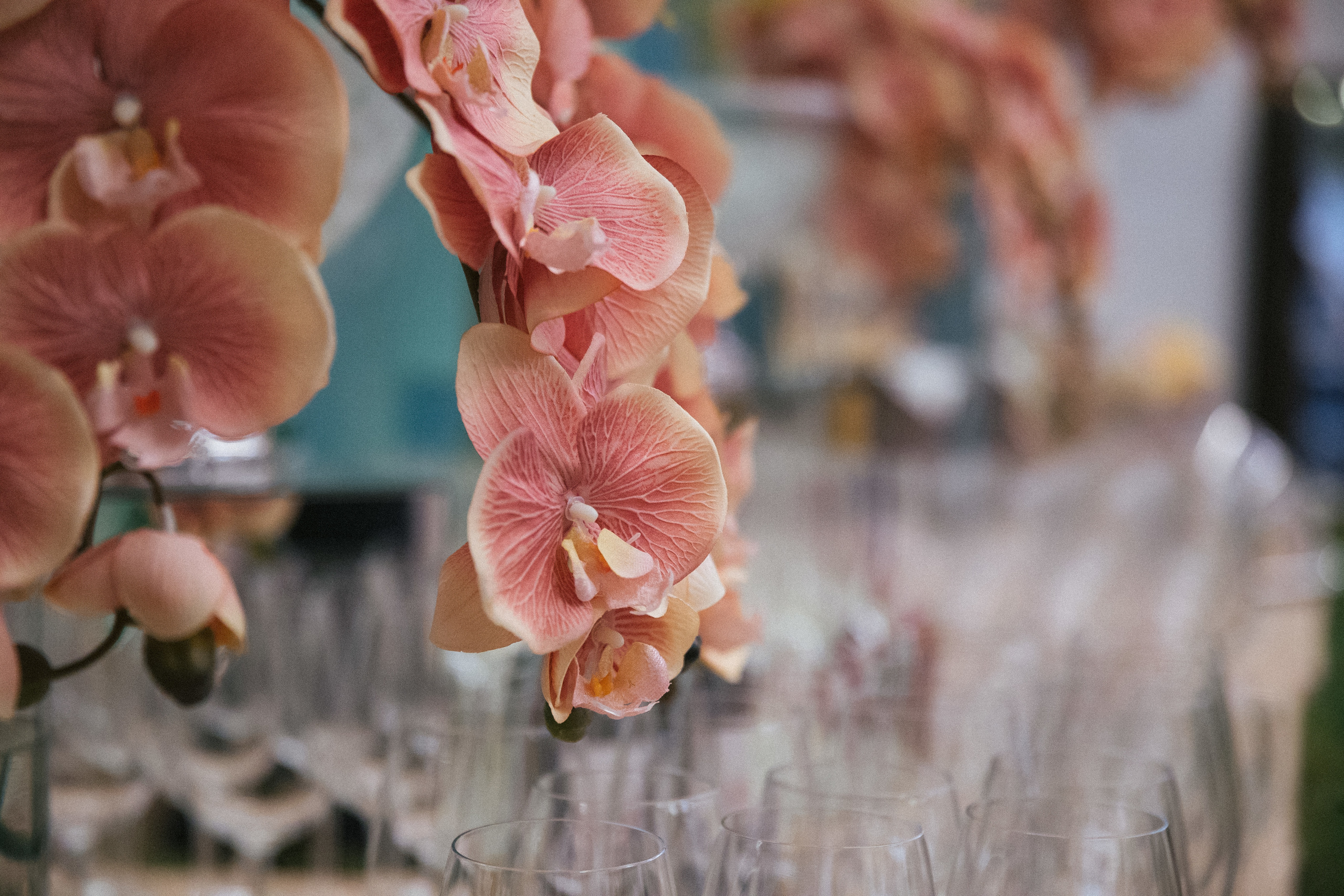 Юбилей. Фотосъёмка юбилея с дополнительным светом. КонТайм: профессиональная съемка для организаций