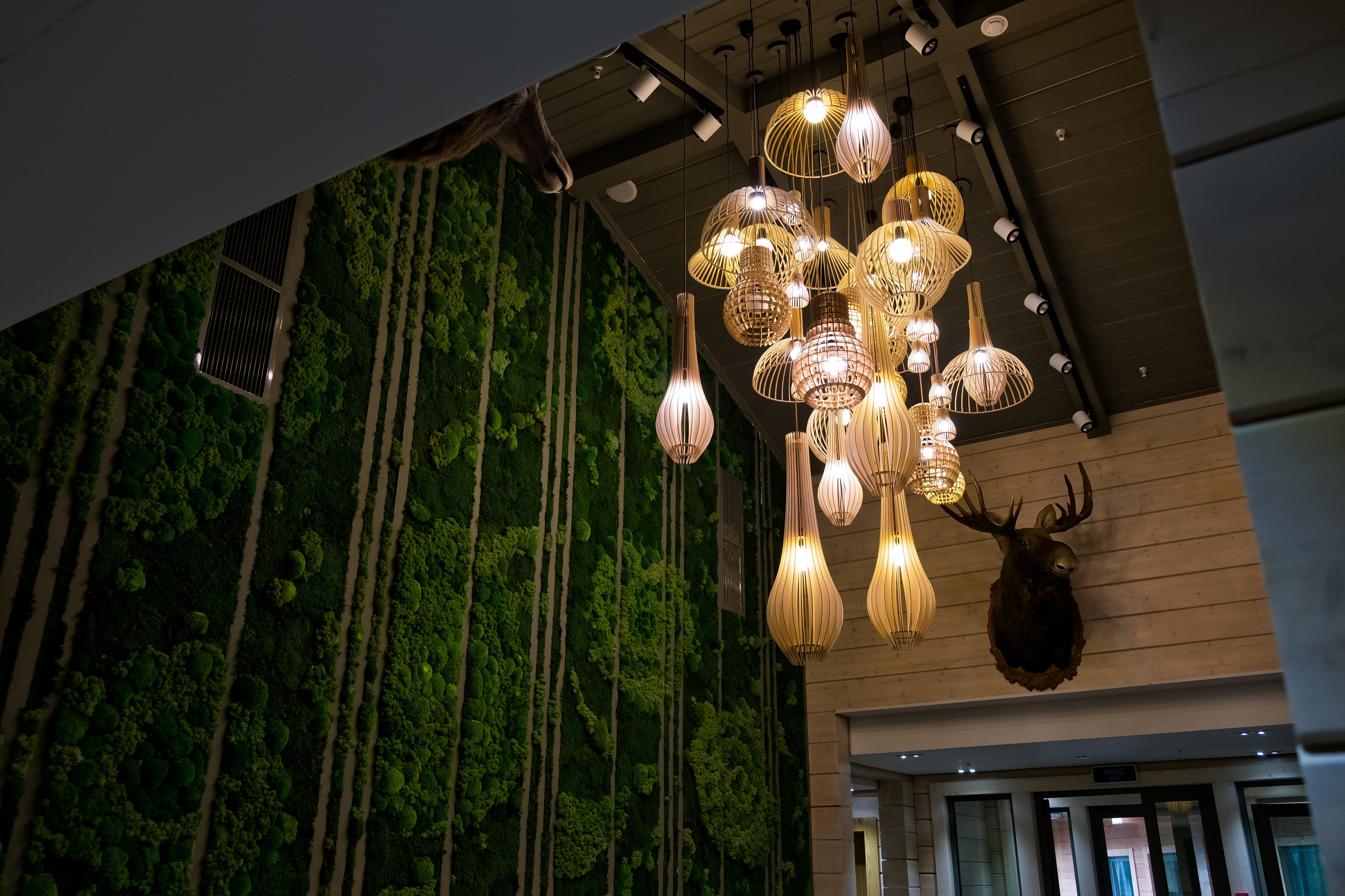 Интерьер эко-отеля "Изумрудный лес"