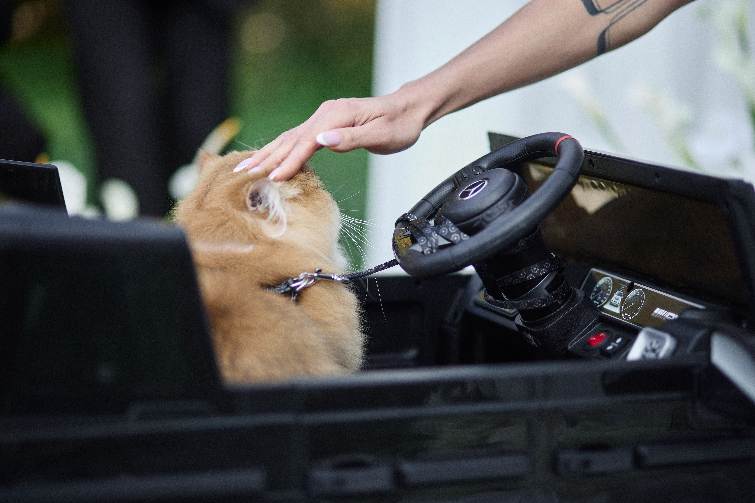 Лео и Софья. Фотограф Константин Земсков
