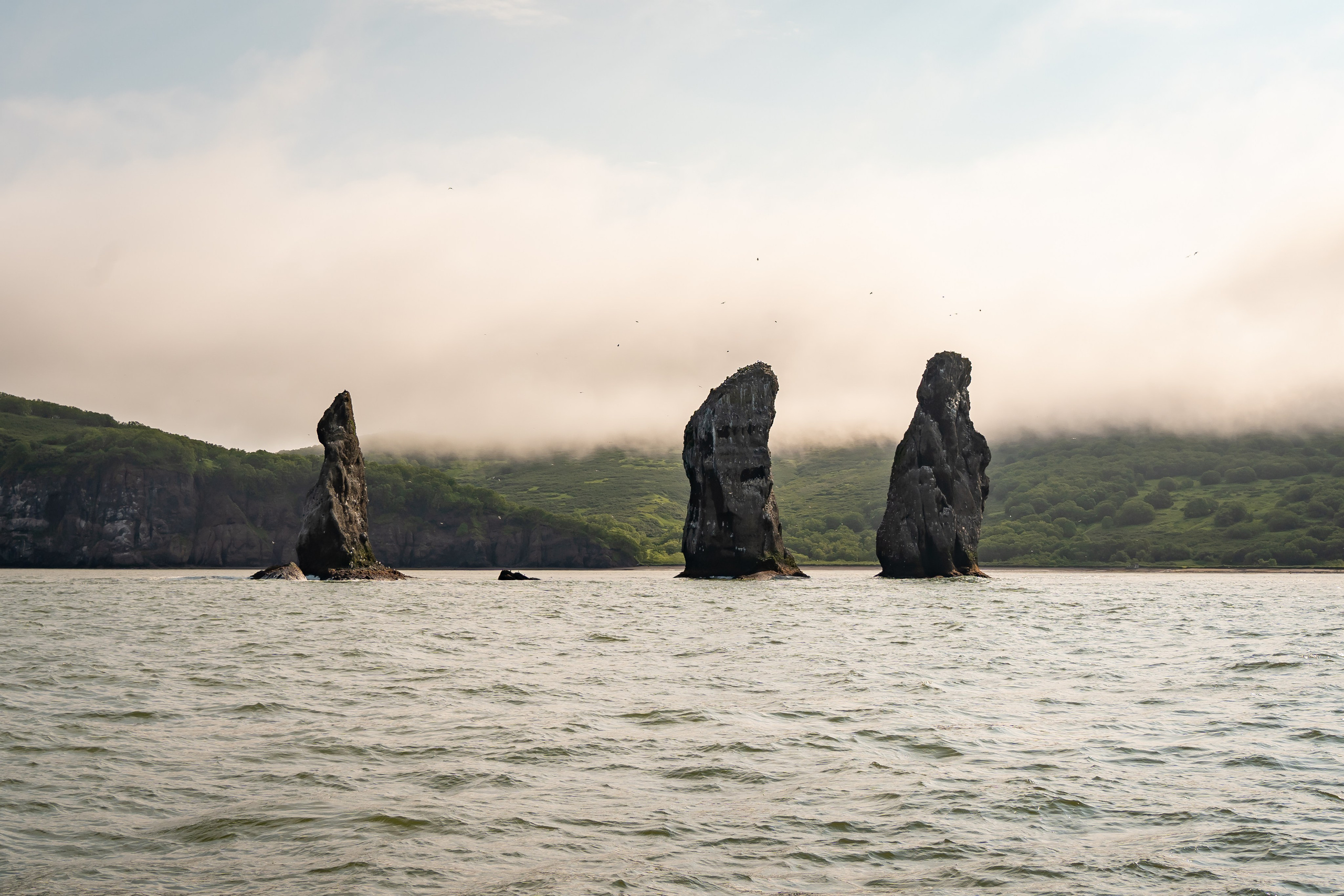 Камчатка. Семейный фотограф Варвара Сорока в городе Москве