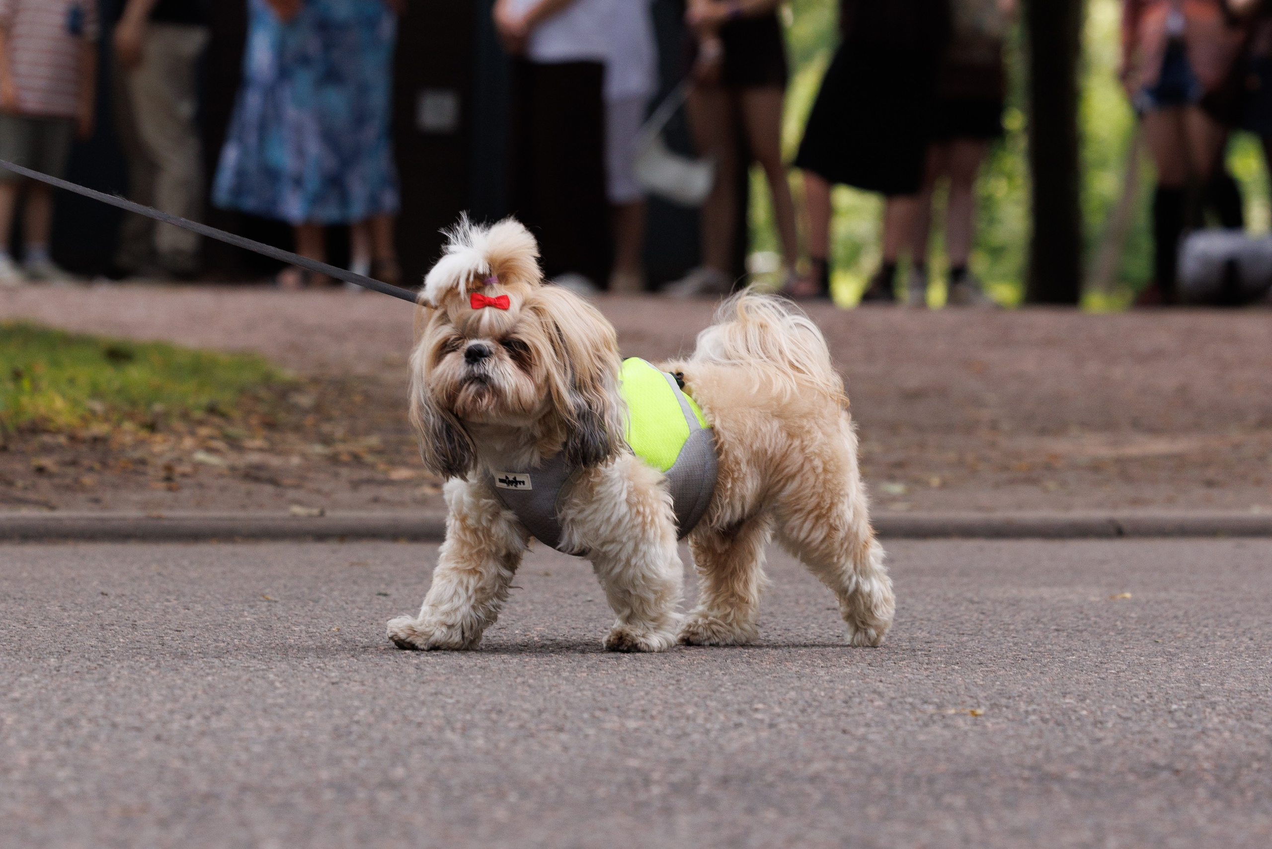 PetShopDays2026. Фотограф Александр Заломаев
