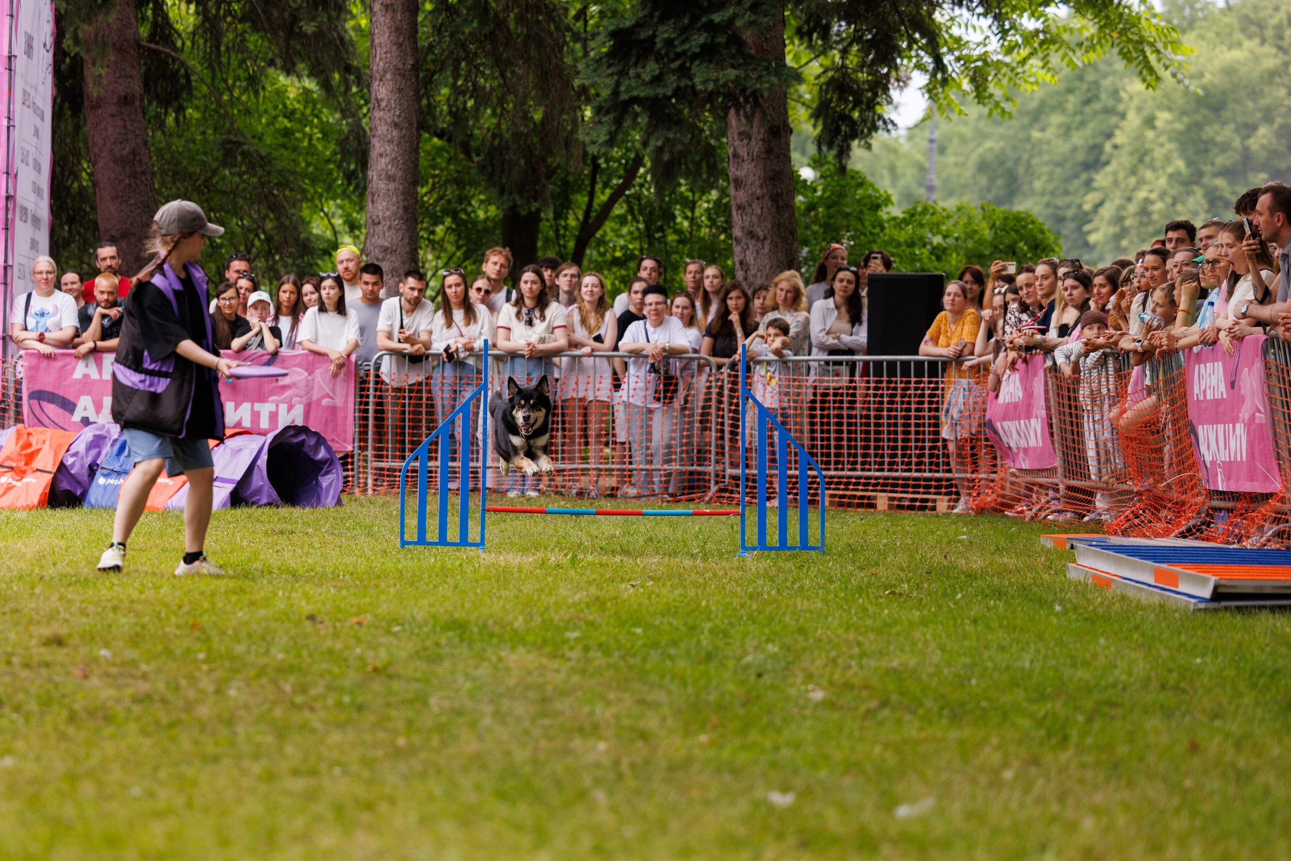 PetShopDays2026. Фотограф Александр Заломаев