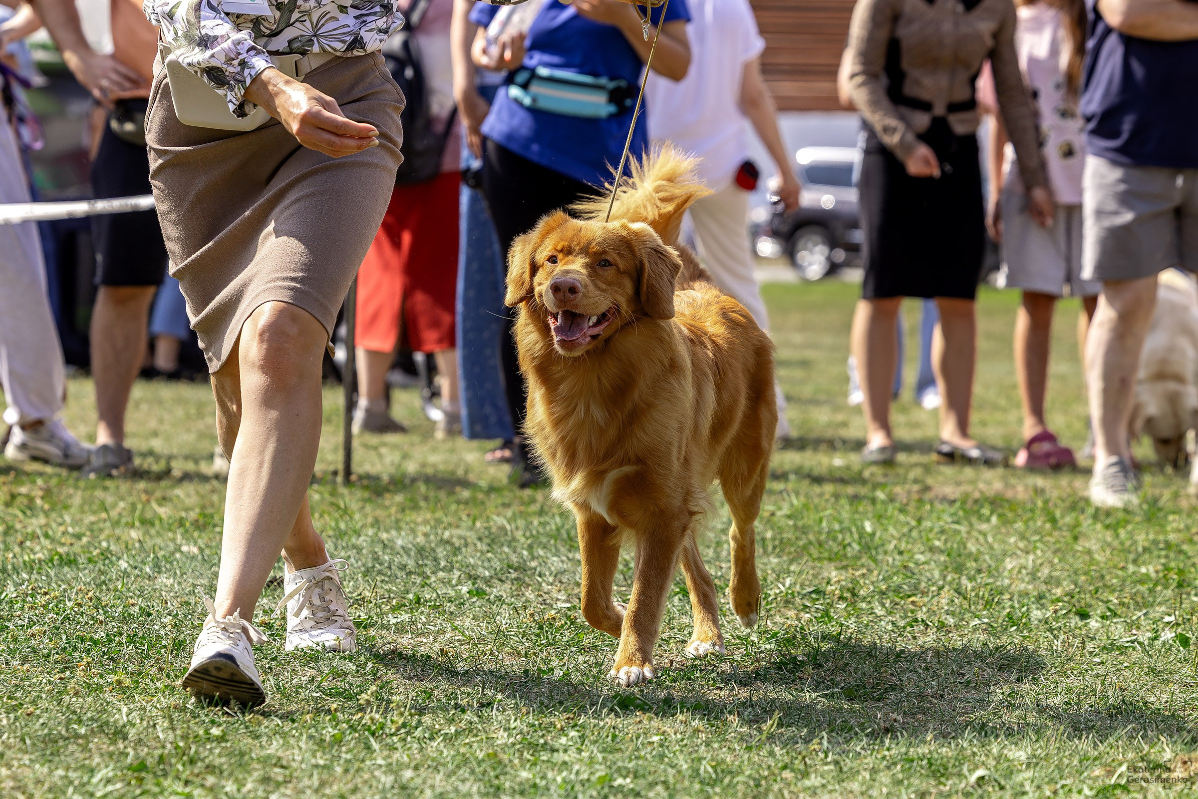 2–3 августа 2025, Выставка РКФ, г. Пермь. Htykk_photo