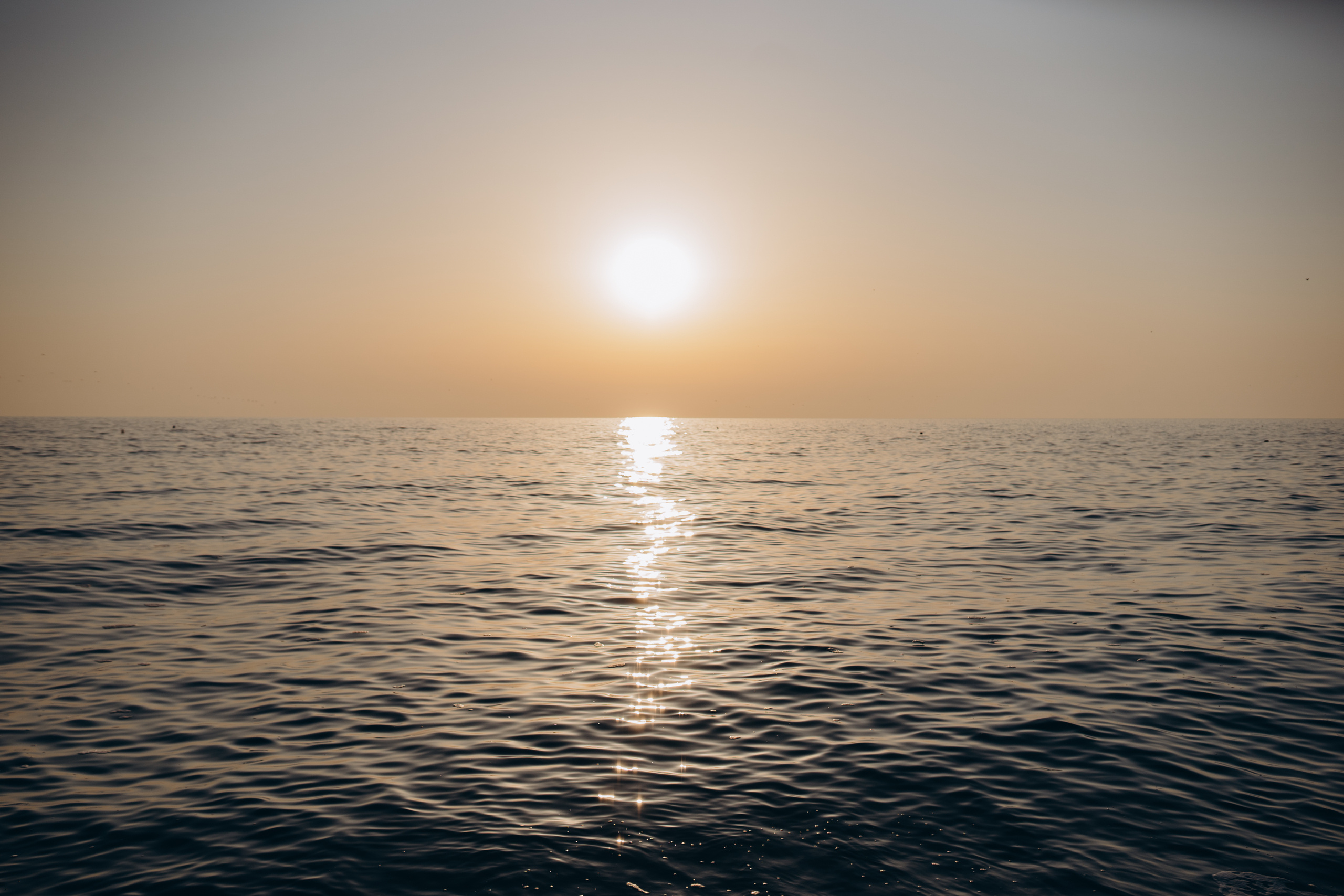 Алексей — Полина. Elopement Wedding Photographer